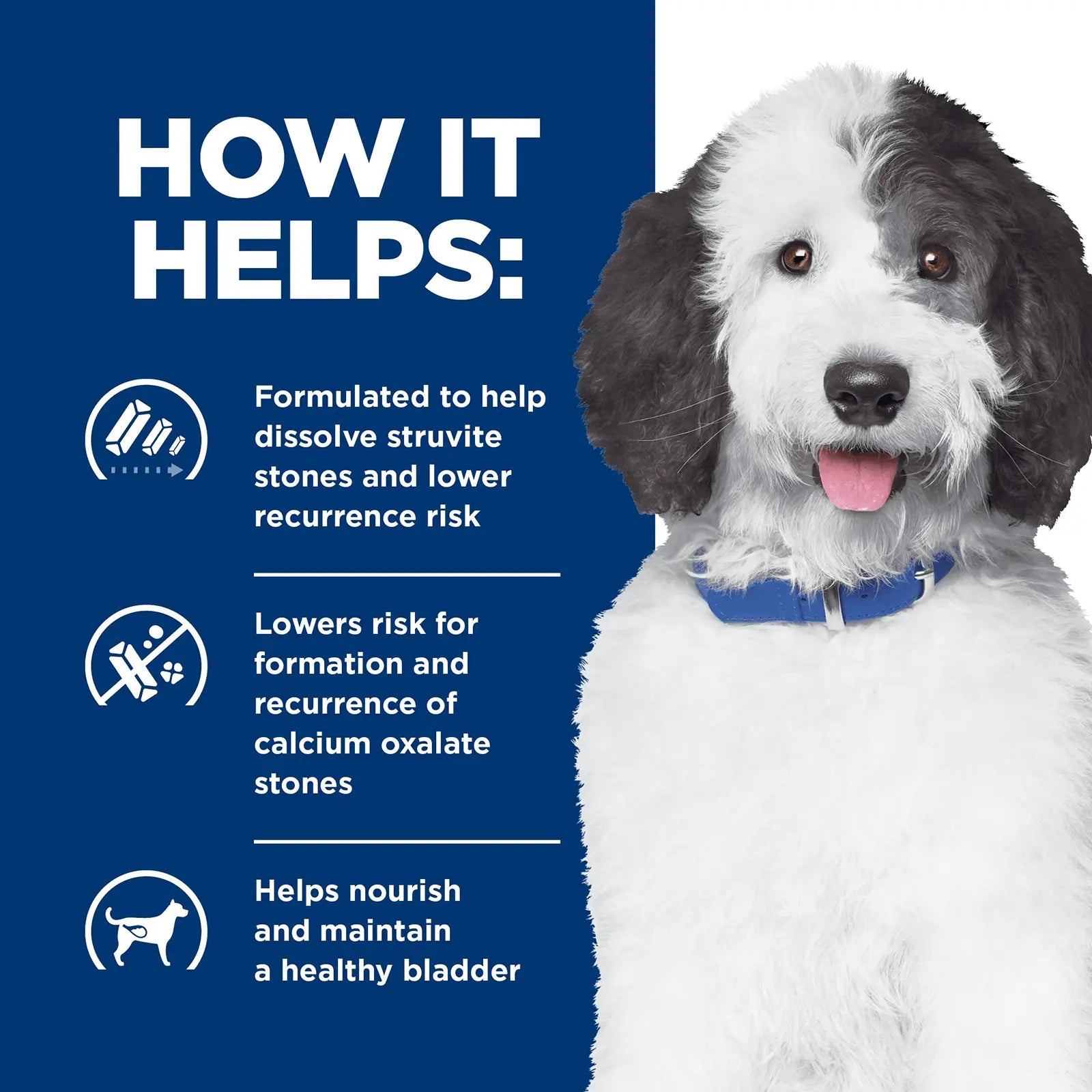 Hill's Prescription Diet Dog Food c/d Multicare Urinary Care - Kellyville Pets