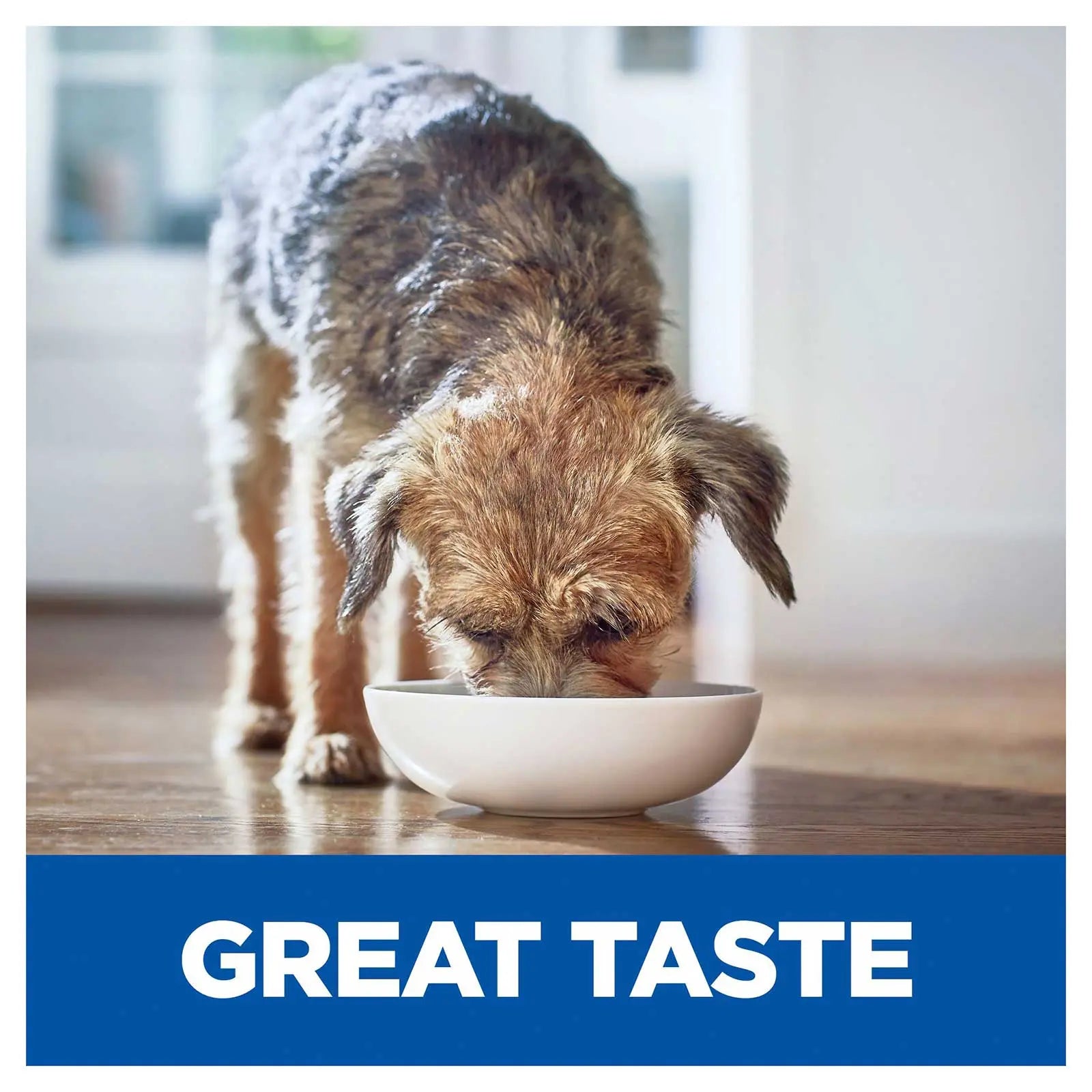 Hill's Prescription Diet Dog Food i/d Digestive Care - Kellyville Pets