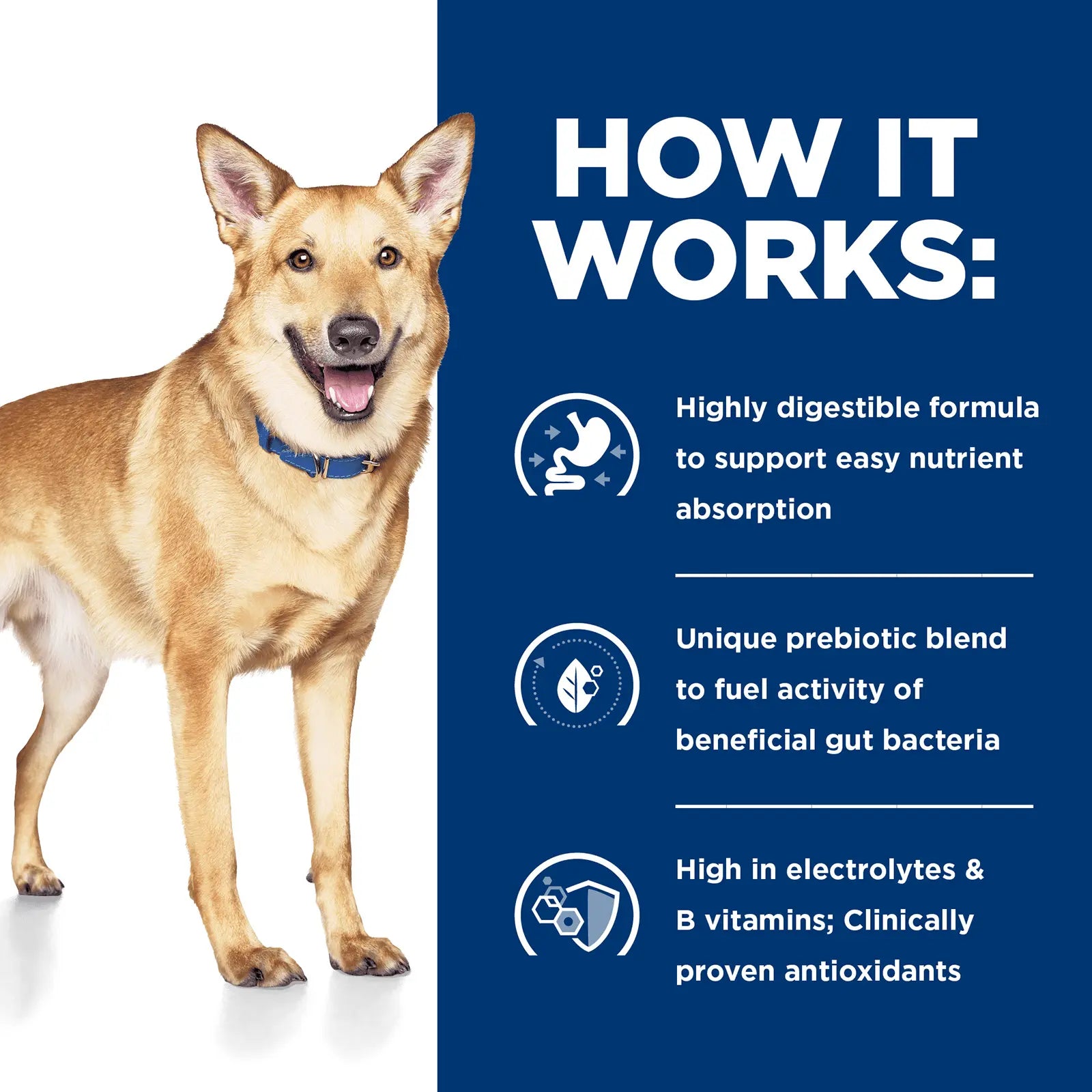 Hill's Prescription Diet Dog Food i/d Digestive Care - Kellyville Pets