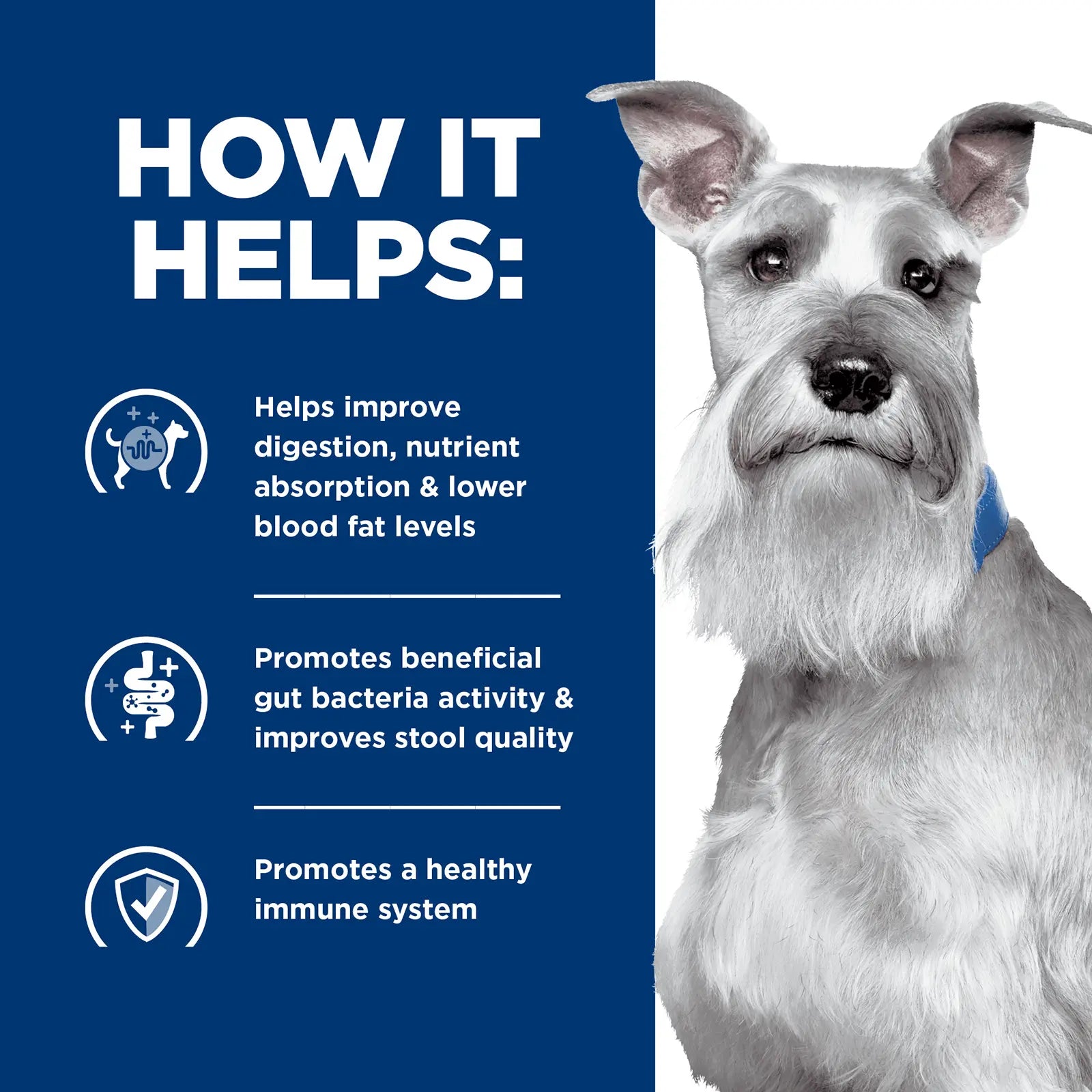 Hill's Prescription Diet Dog Food i/d Low Fat Digestive Care - Kellyville Pets