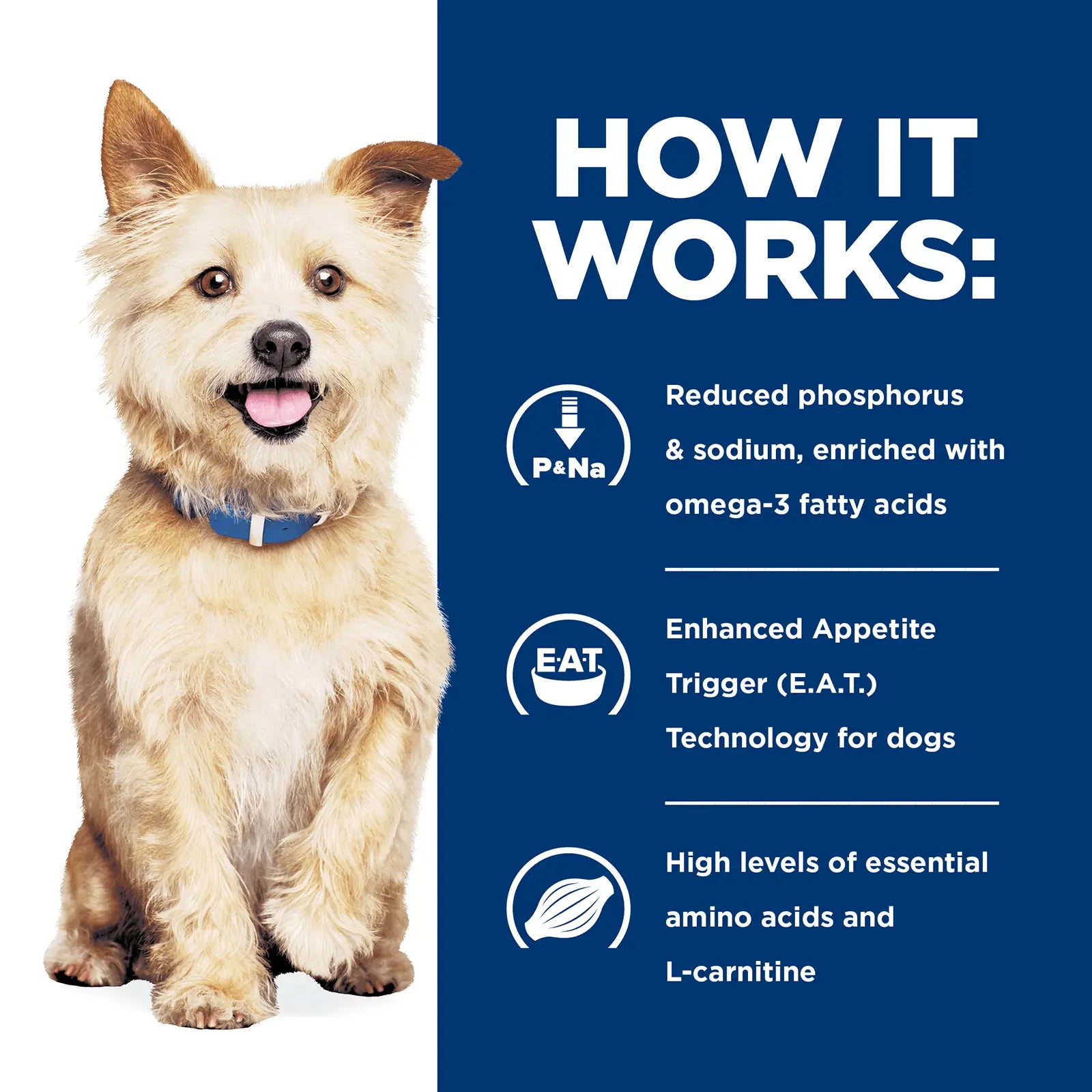 Hill's Prescription Diet Dog Food k/d Kidney Care - Kellyville Pets