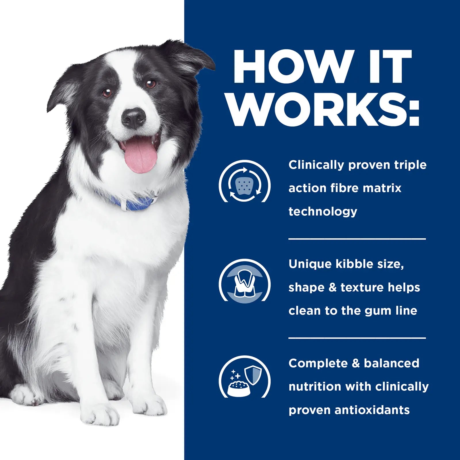 Hill's Prescription Diet Dog Food t/d Dental Care - Kellyville Pets