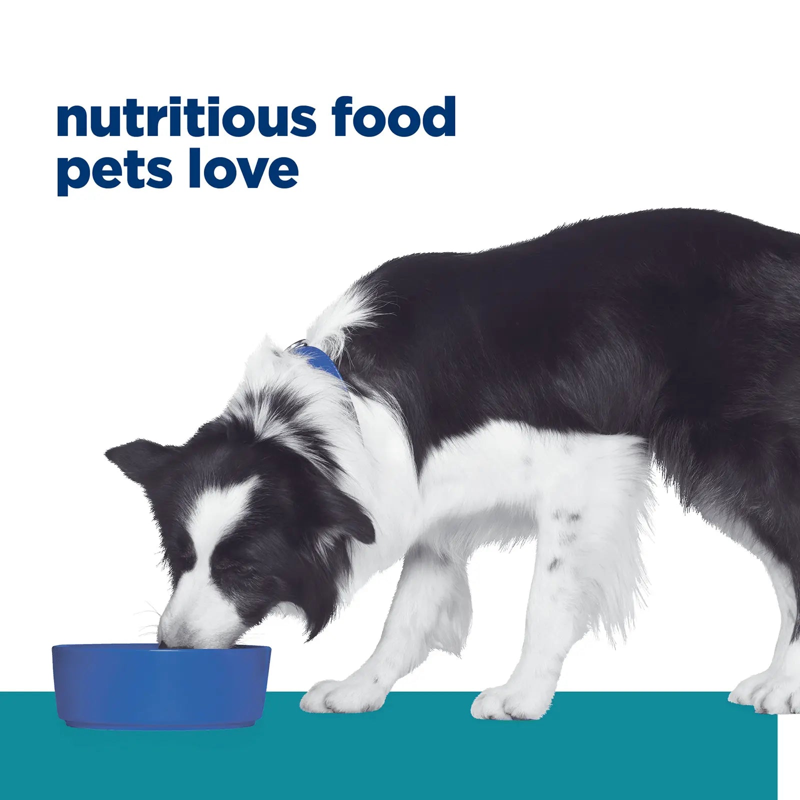 Hill's Prescription Diet Dog Food t/d Dental Care - Kellyville Pets