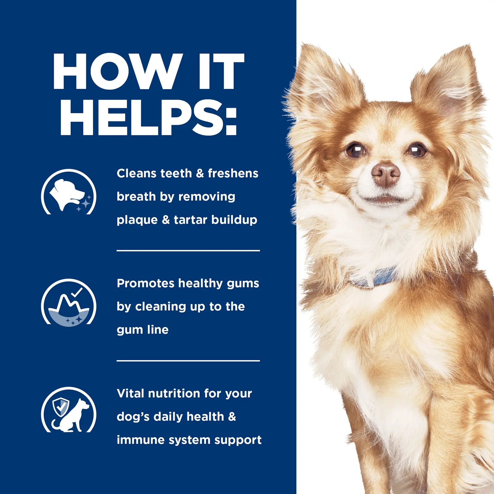 Hill's Prescription Diet Dog Food t/d Small Bites Dental Care - Kellyville Pets