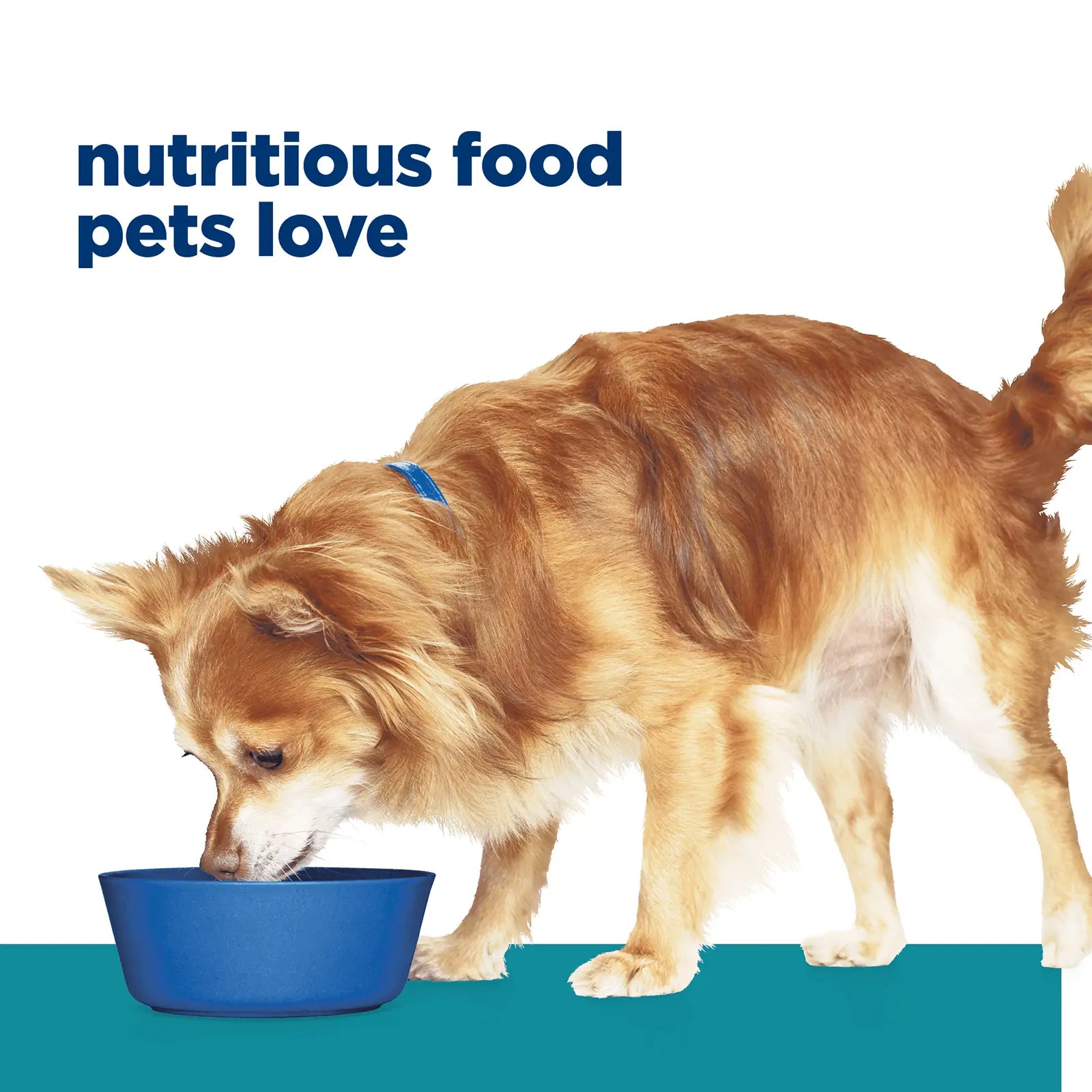 Hill's Prescription Diet Dog Food t/d Small Bites Dental Care - Kellyville Pets