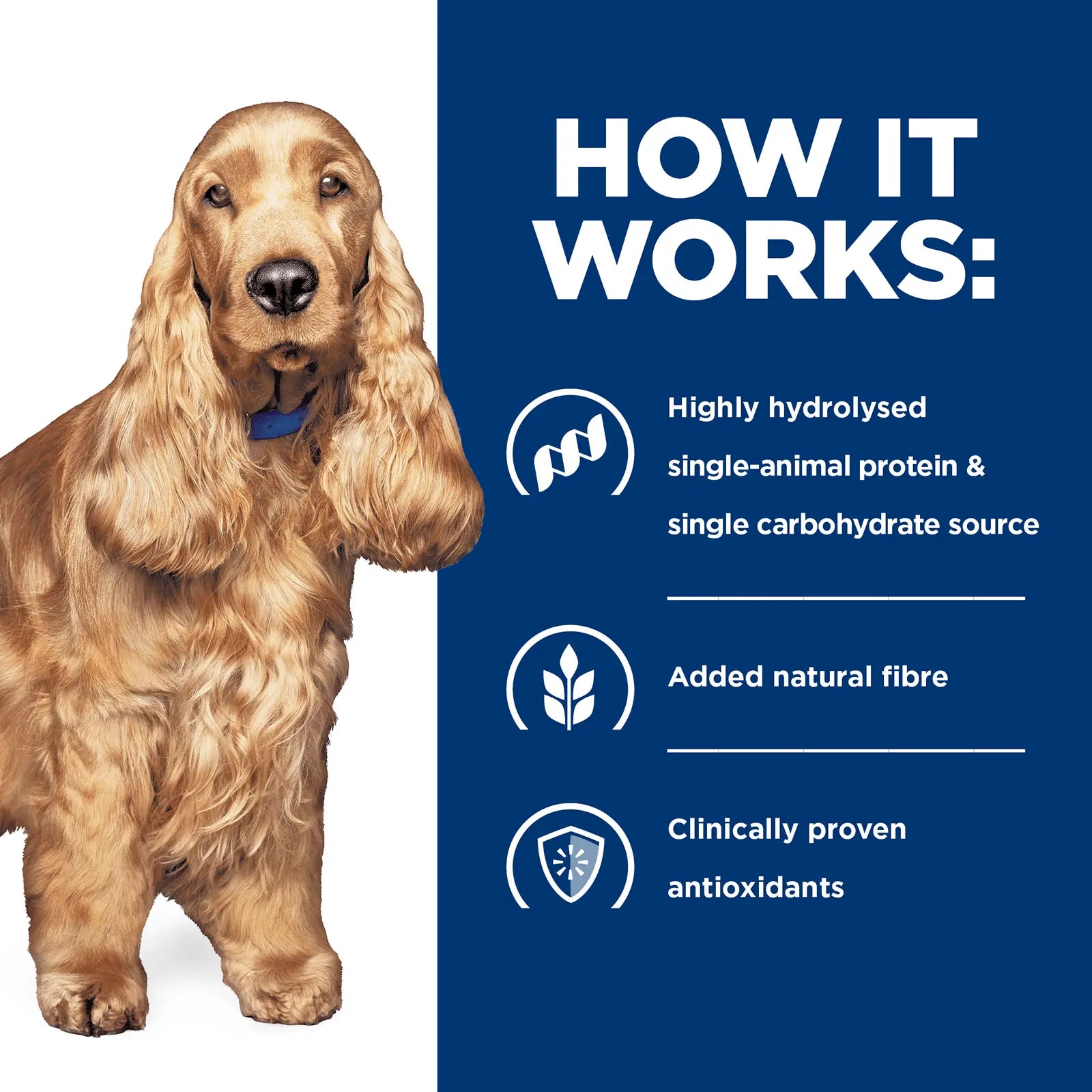 Hill's Prescription Diet Dog Food z/d Skin/Food Sensitivities - Kellyville Pets