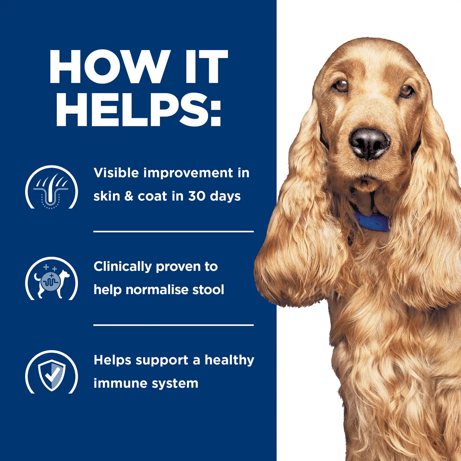 Hill's Prescription Diet Dog Food z/d Skin/Food Sensitivities - Kellyville Pets