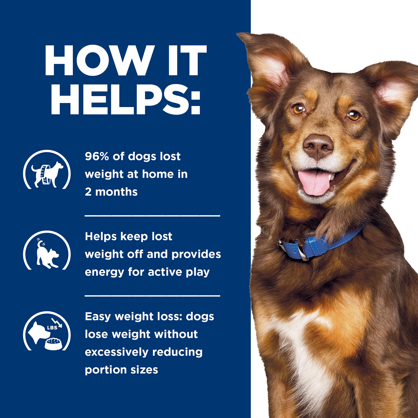 Hill's Prescription Diet Dog Food Can Metabolic Weight Loss & Maintenance
