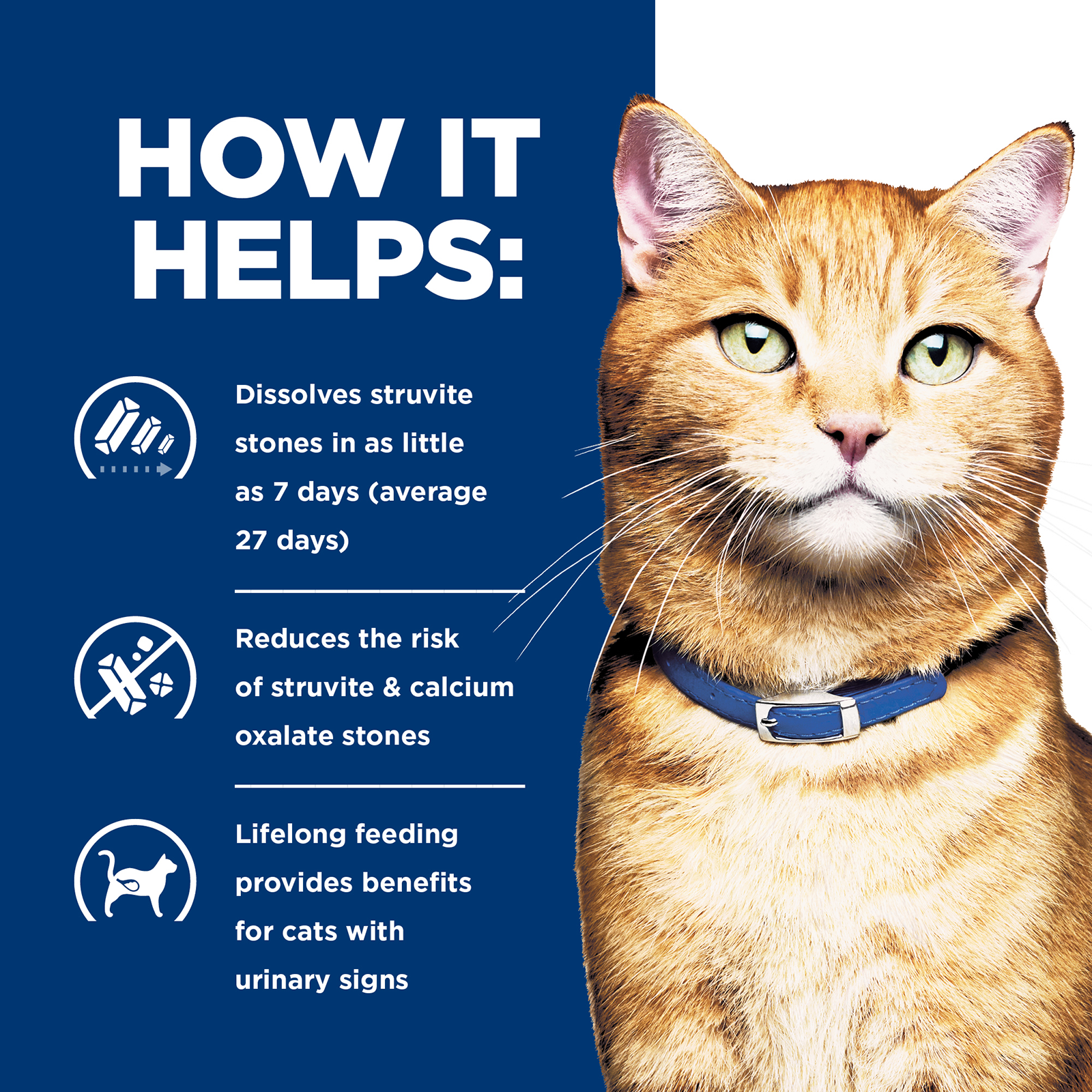 Hill's Prescription Diet Cat Food Can c/d Multicare Urinary Care with Chicken