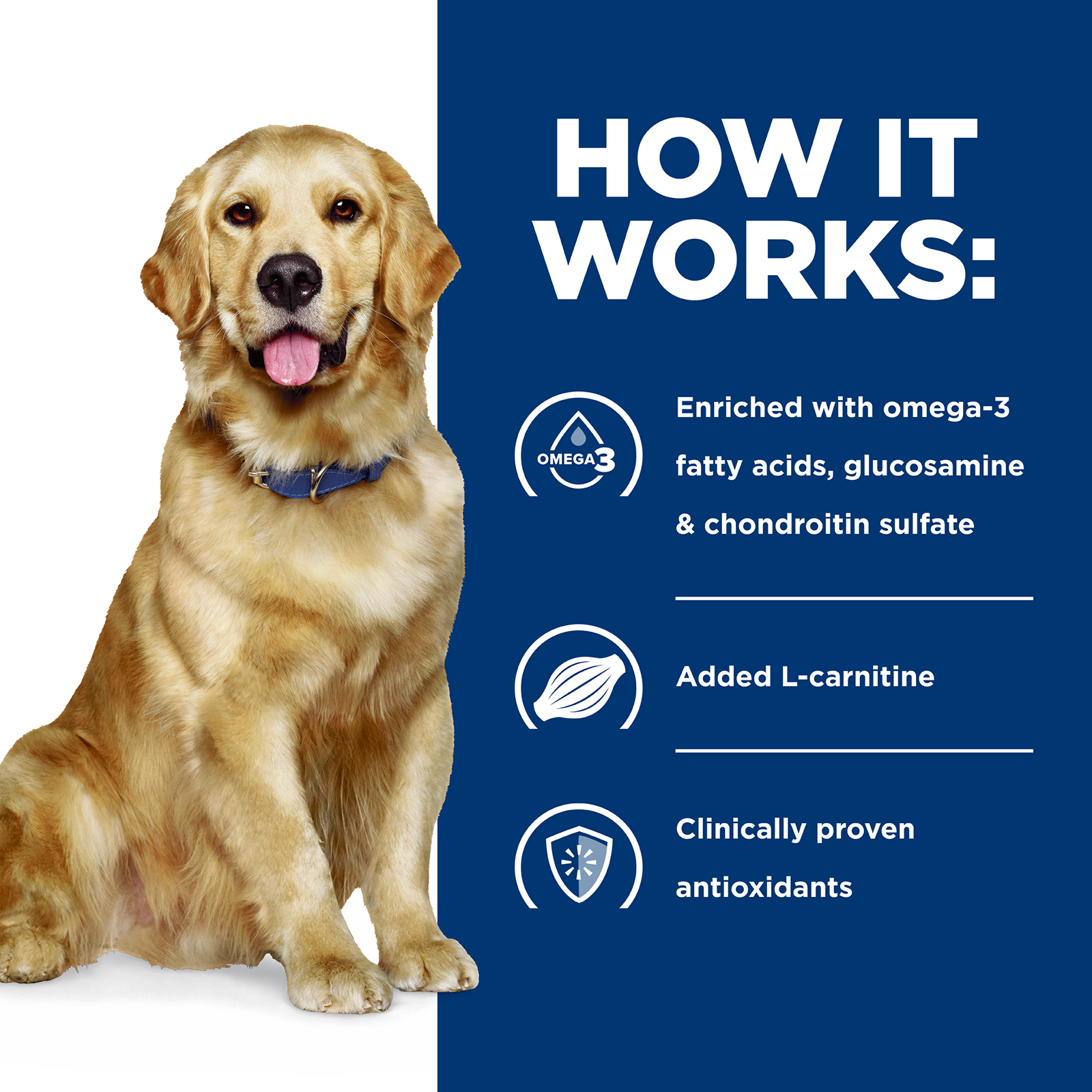 Hill's Prescription Diet Dog Food j/d Mobility Care