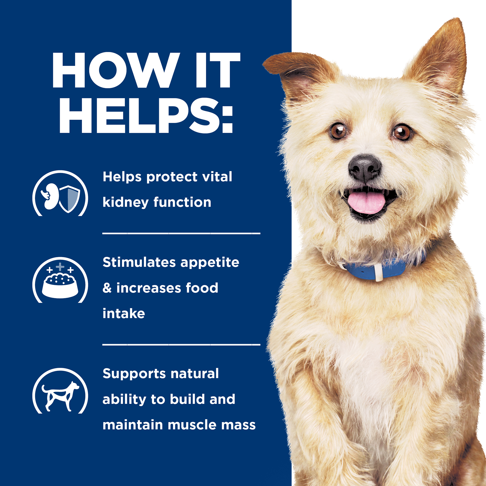 Hill's Prescription Diet Dog Food k/d Kidney Care