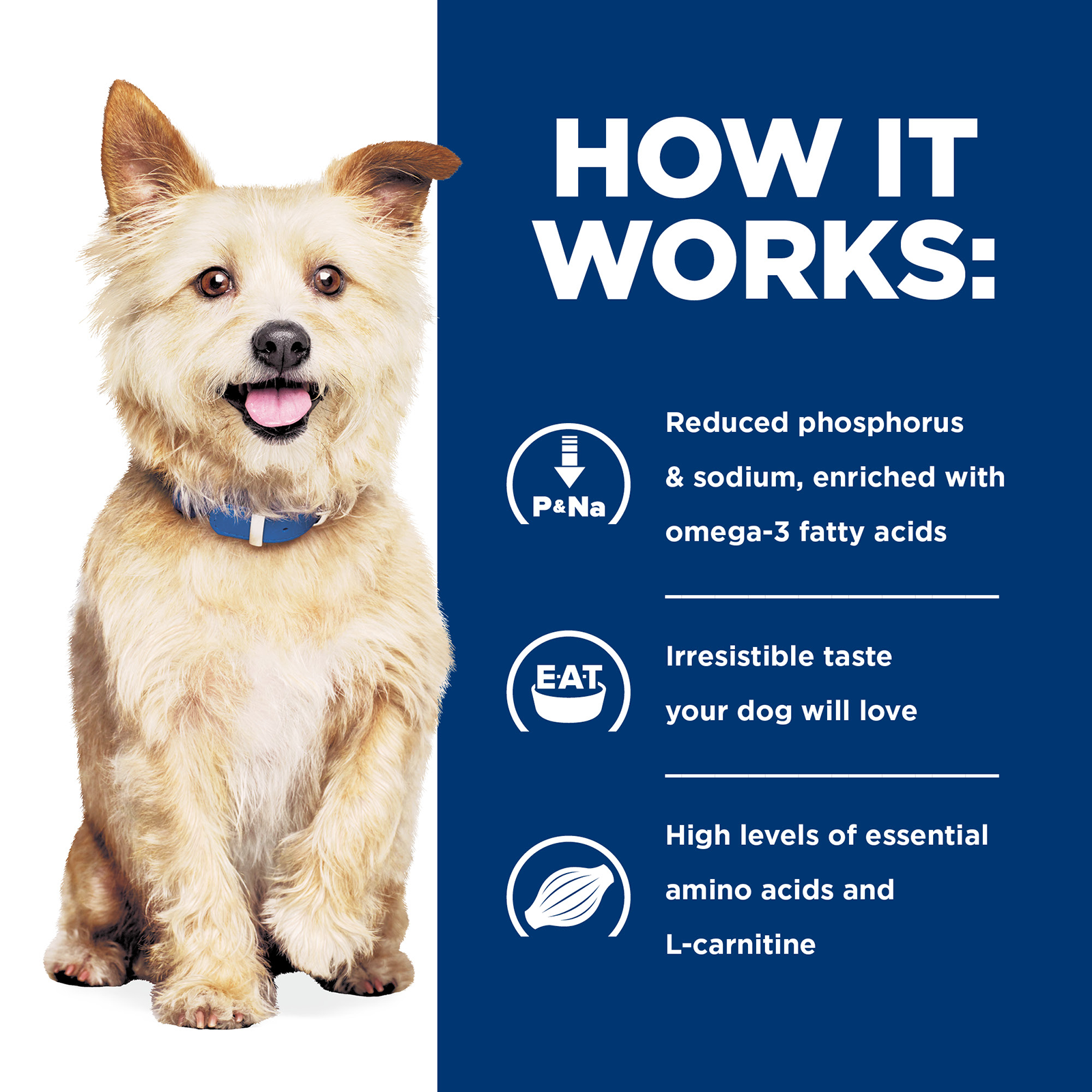 Hill's Prescription Diet Dog Food Can k/d Kidney Care with Chicken