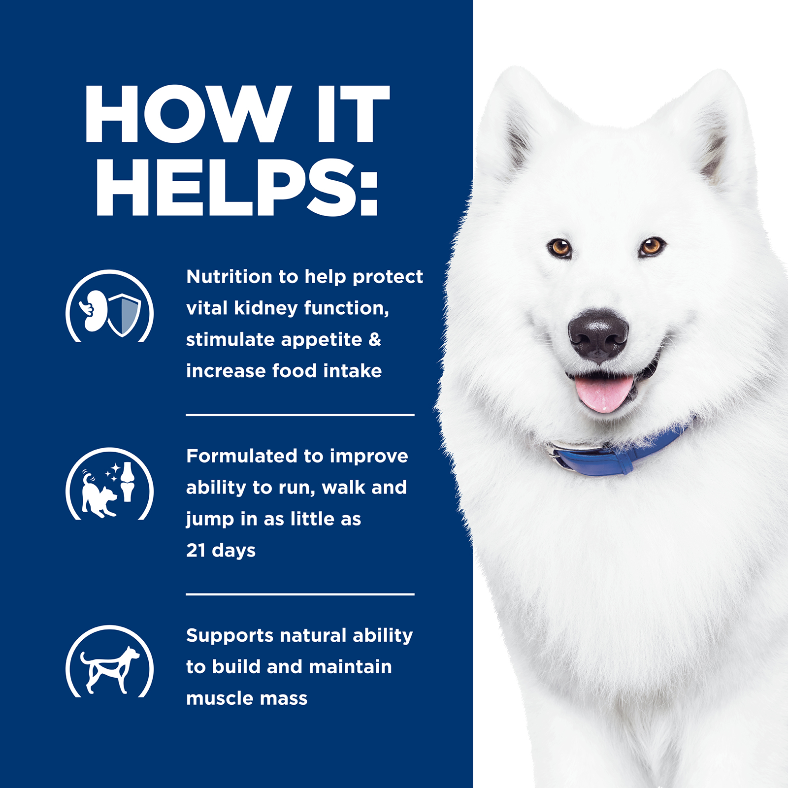 Hill's Prescription Diet Dog Food k/d Kidney Care + j/d Mobility Care
