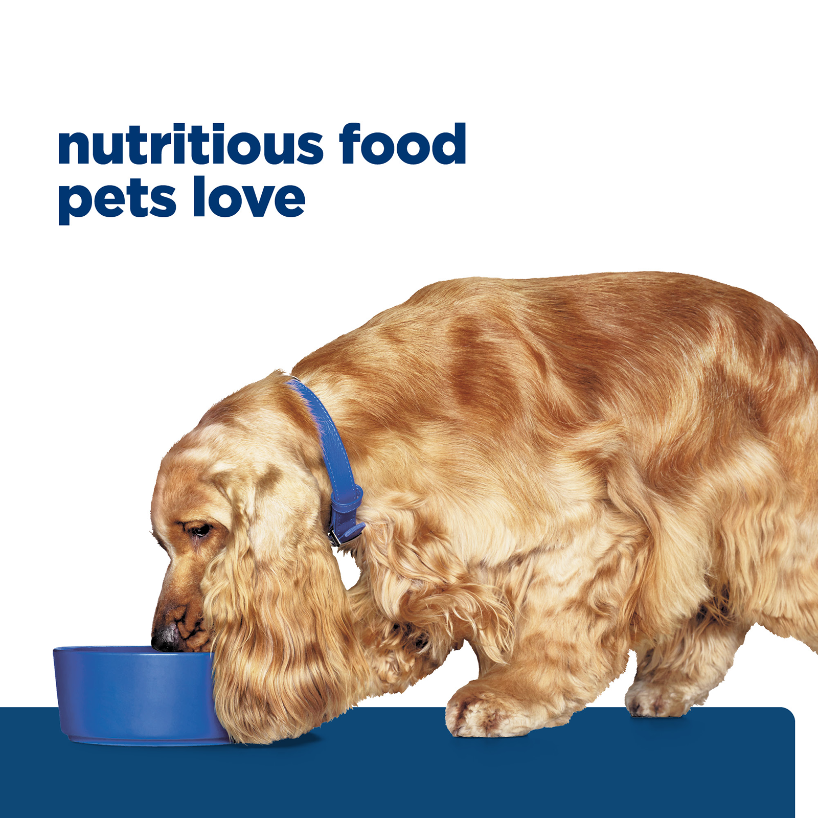 Hill's Prescription Diet Dog Food z/d Skin/Food Sensitivities