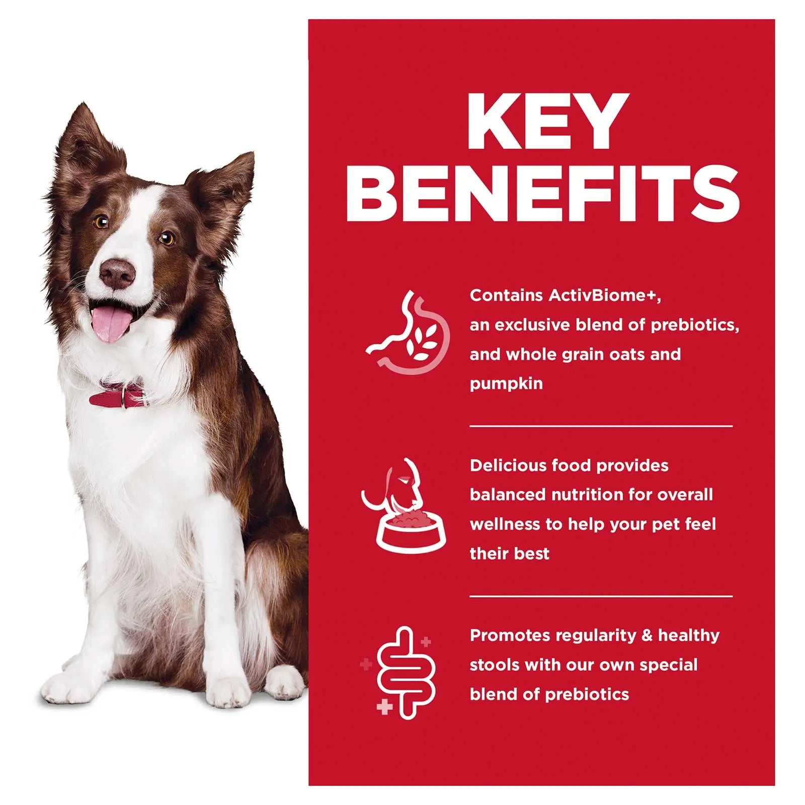 Hill's Science Diet Dog Food Adult Perfect Digestion - Kellyville Pets