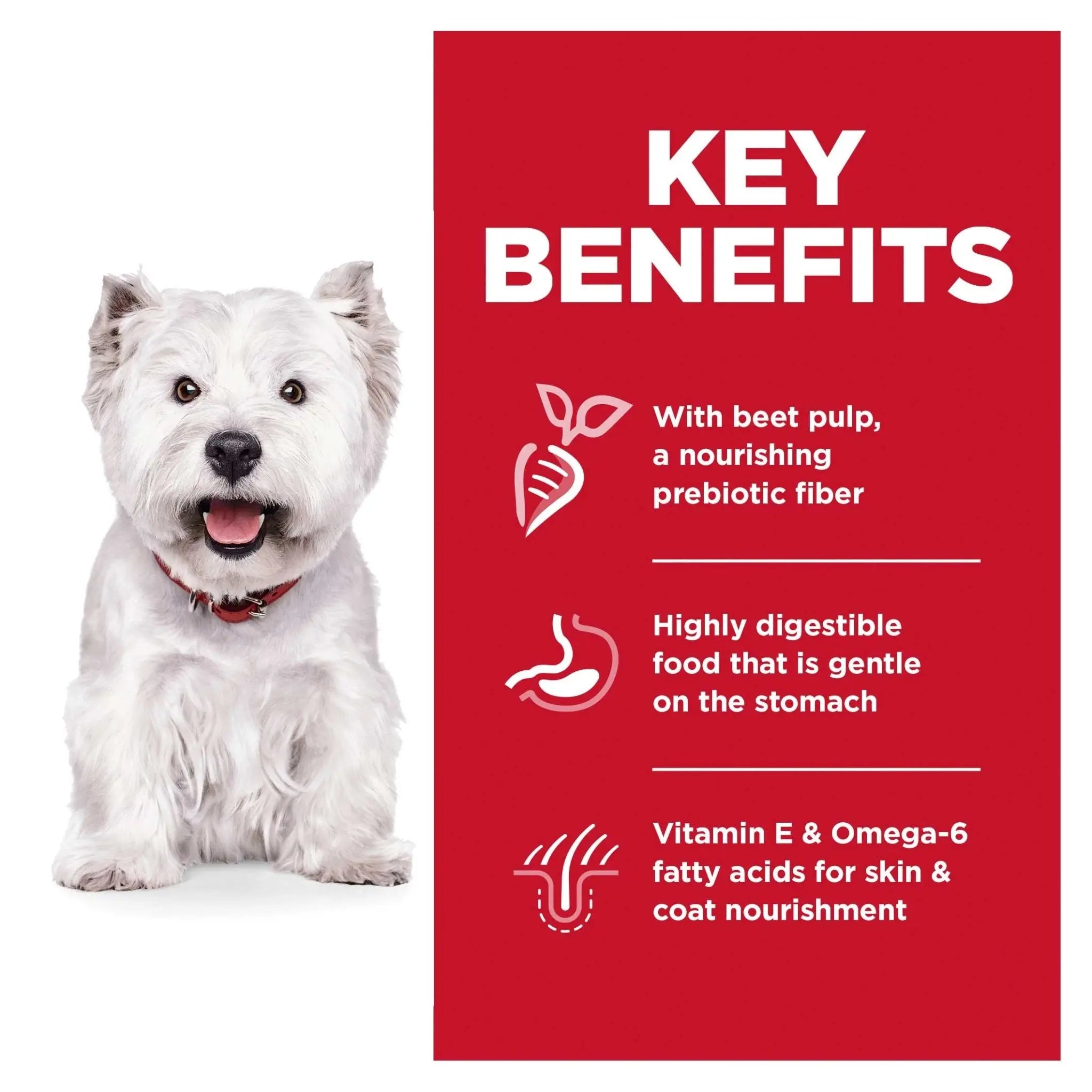 Hill's Science Diet Dog Food Adult Sensitive Stomach & Skin Small Bites - Kellyville Pets