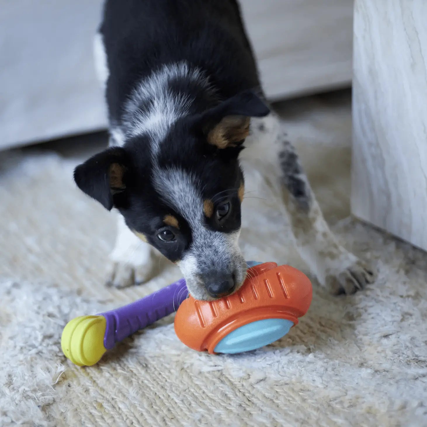 Kazoo Dog Toy Extreme Play Tough Footy - Kellyville Pets