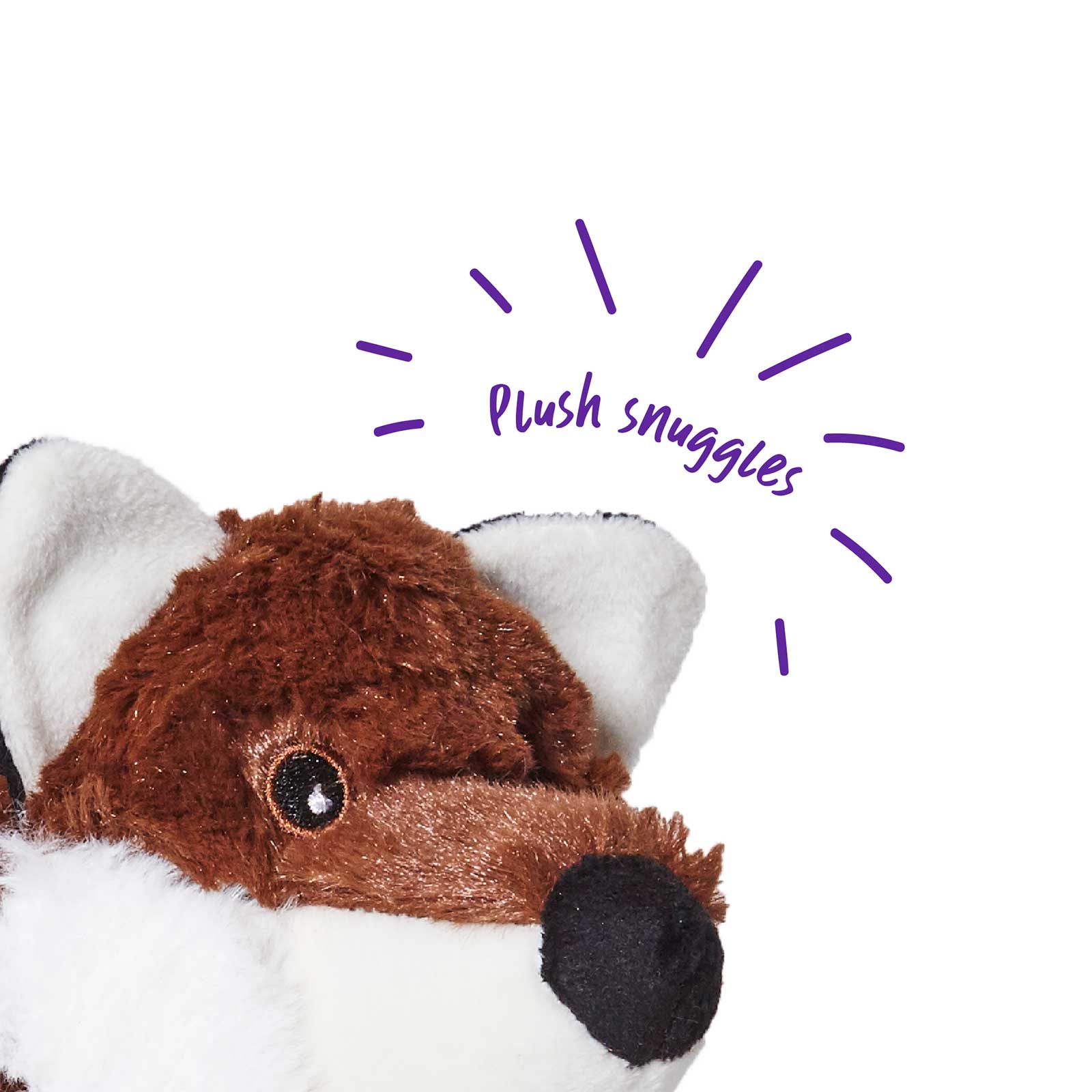 Kazoo Tough Raccoon Dog Toy