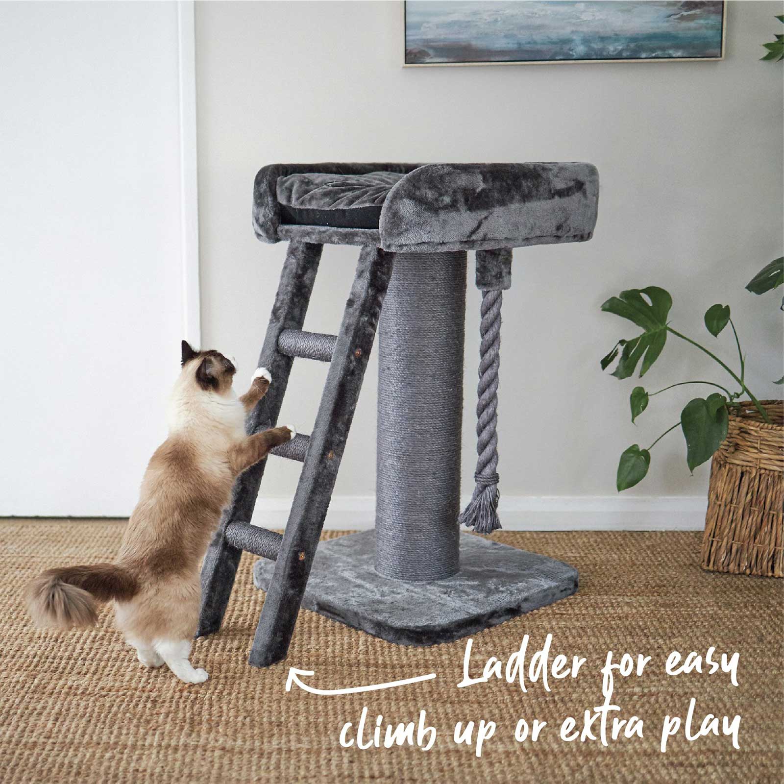 Kazoo Cat Scratcher - High Bed with Ladder Charcoal