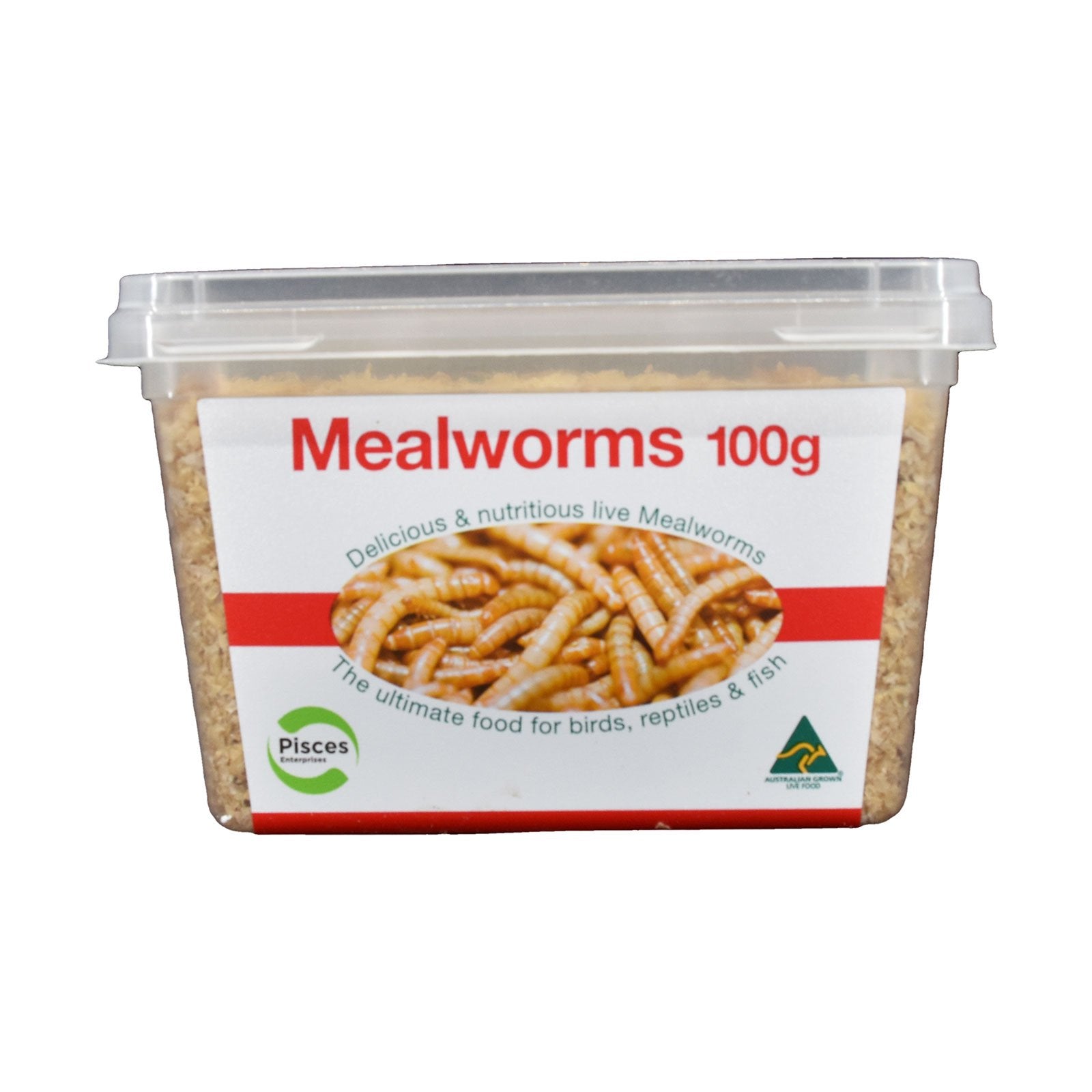 Live Mealworms