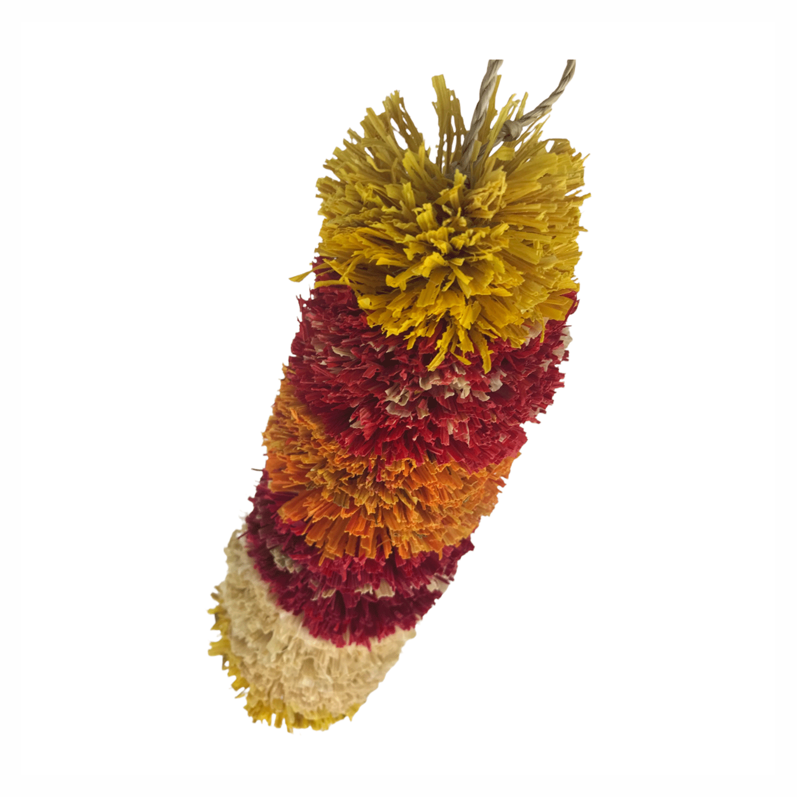 Nino's Java Bird Toy Fiesta Ninos Java