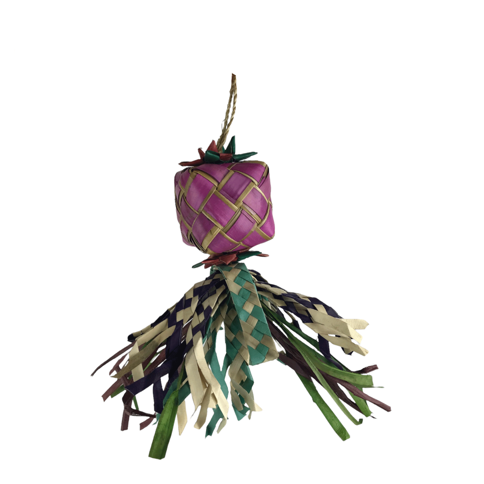 Nino's Java Bird Toy Gift Wrapped Ninos Java