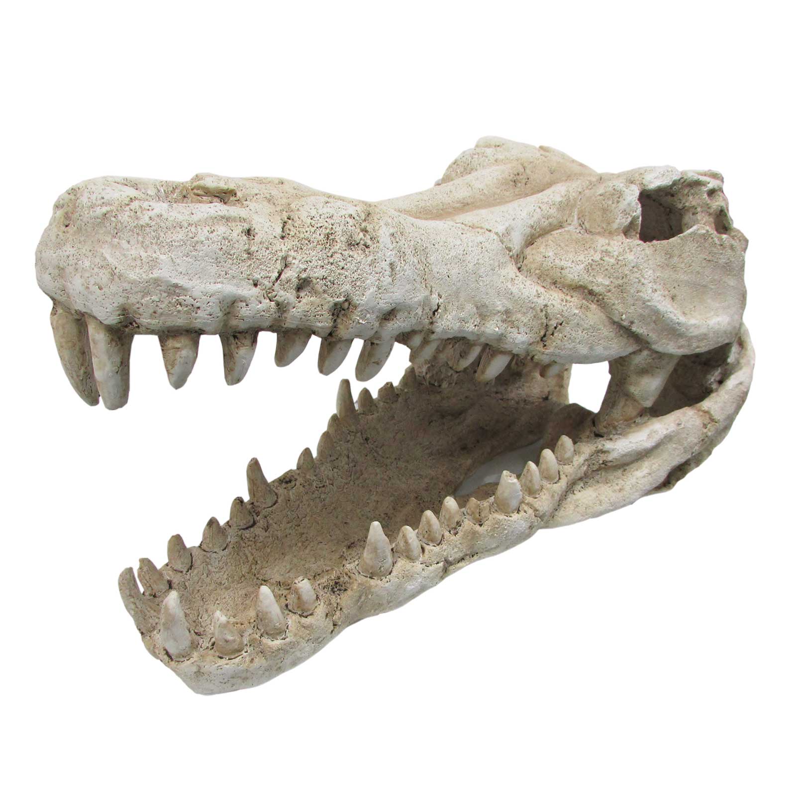 URS Ornament Crocodile Skull