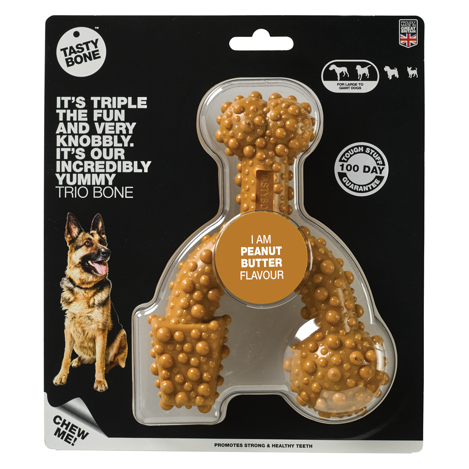 Tasty Bone Nylon Trio Peanut Butter Dog Toy