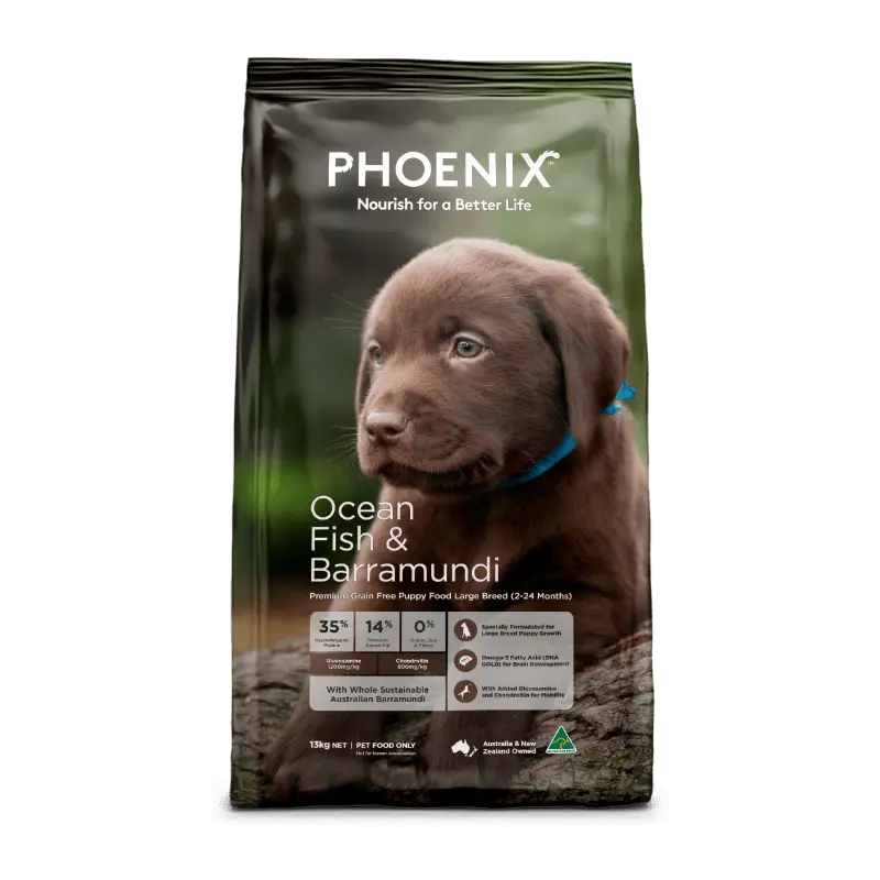 Phoenix Dog Food Puppy Large Breed Ocean Fish & Barramundi - Kellyville Pets