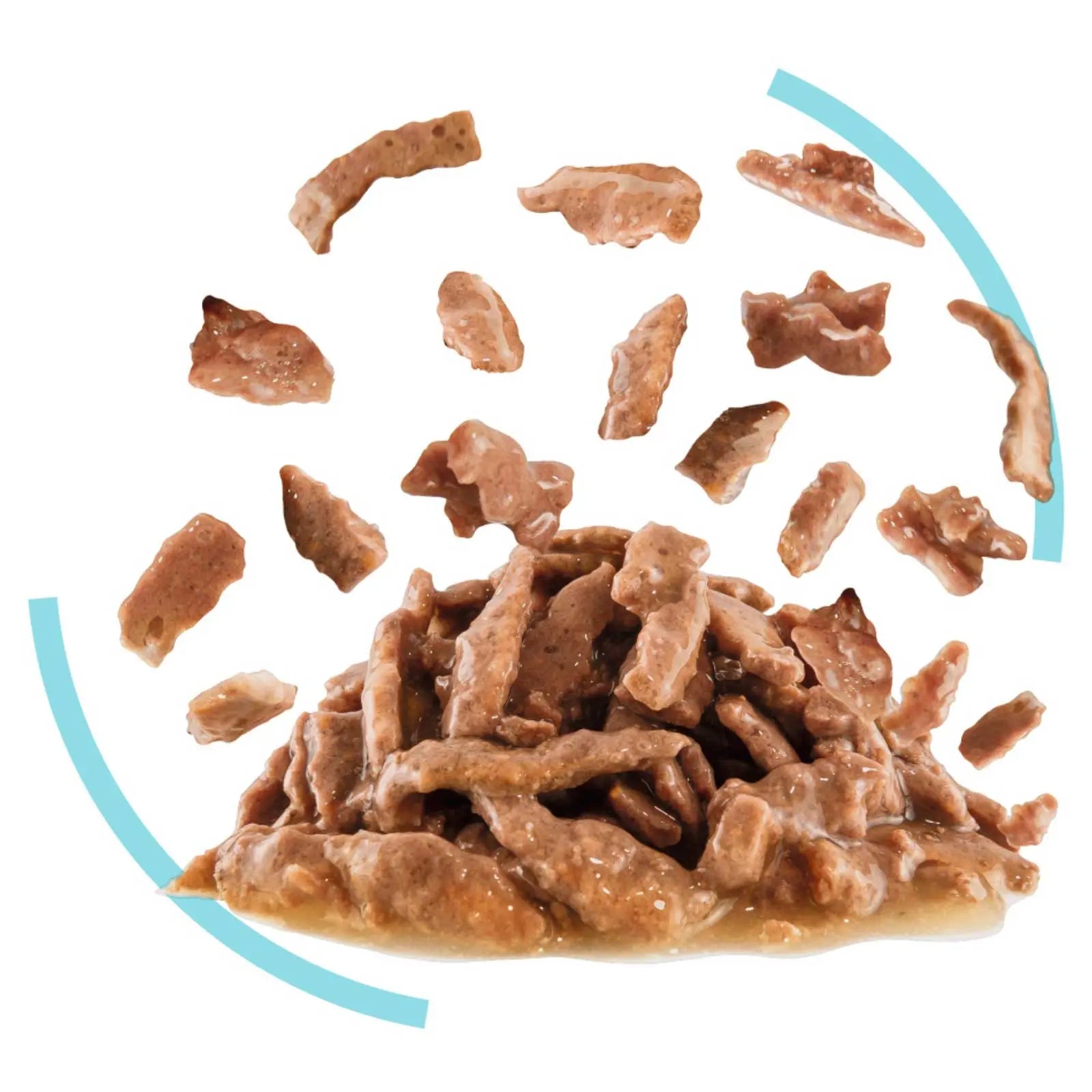 Royal Canin Cat Food Pouch Adult Sensory Feel Gravy - Kellyville Pets