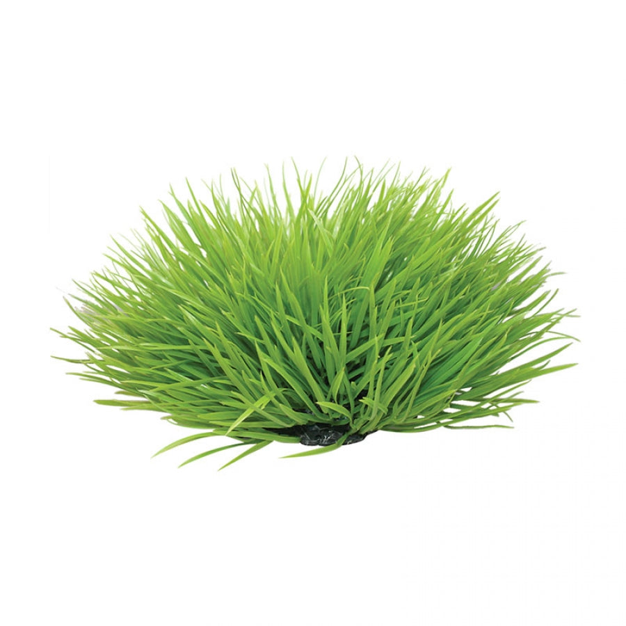 Reptile One Plant Spinifex Green Round