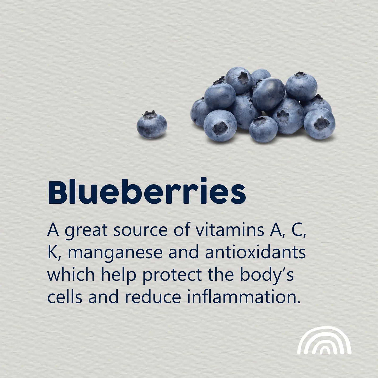 True Colours Dog Food Adult Chicken & Rice - Kellyville Pets