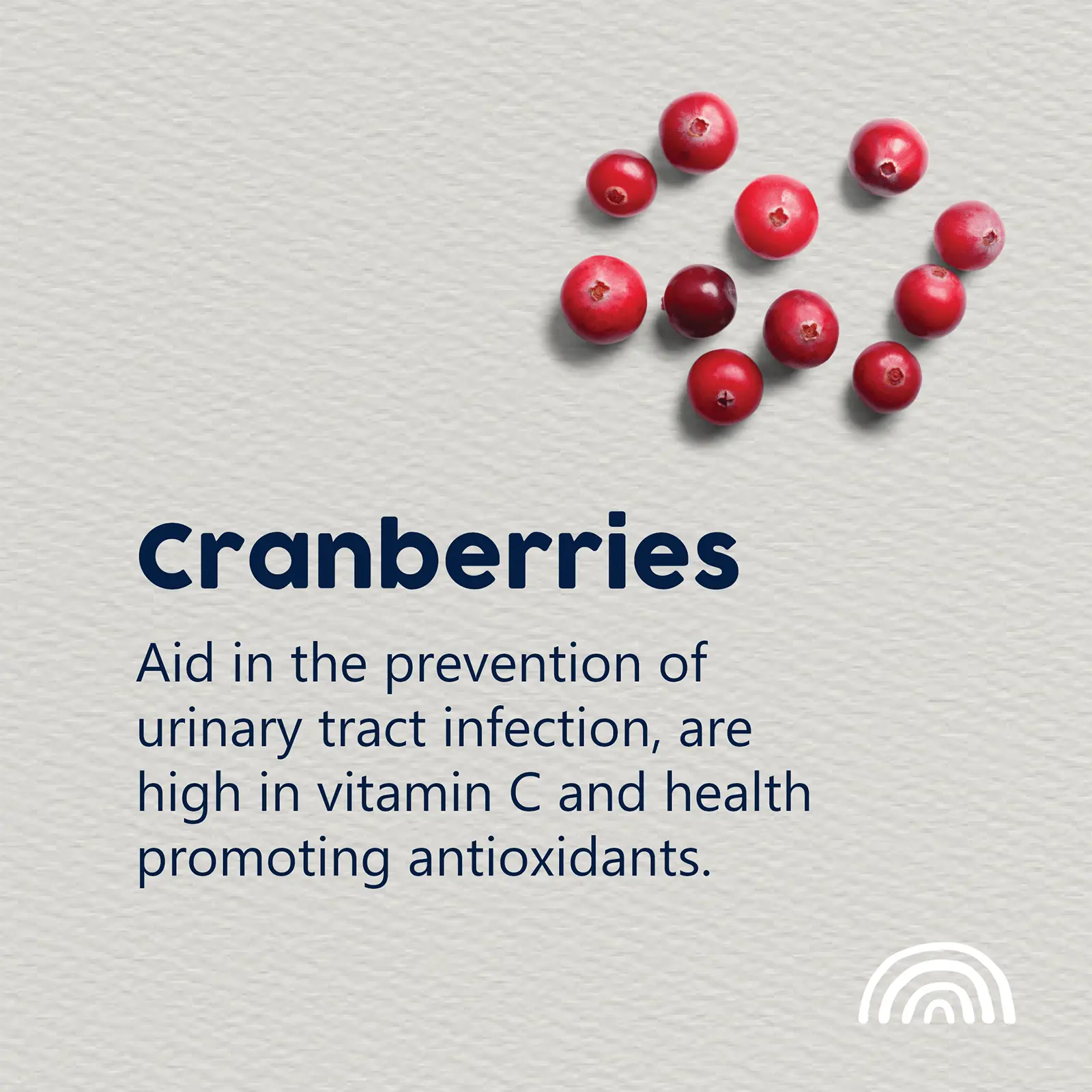 True Colours Dog Food Adult Fish & Rice - Kellyville Pets