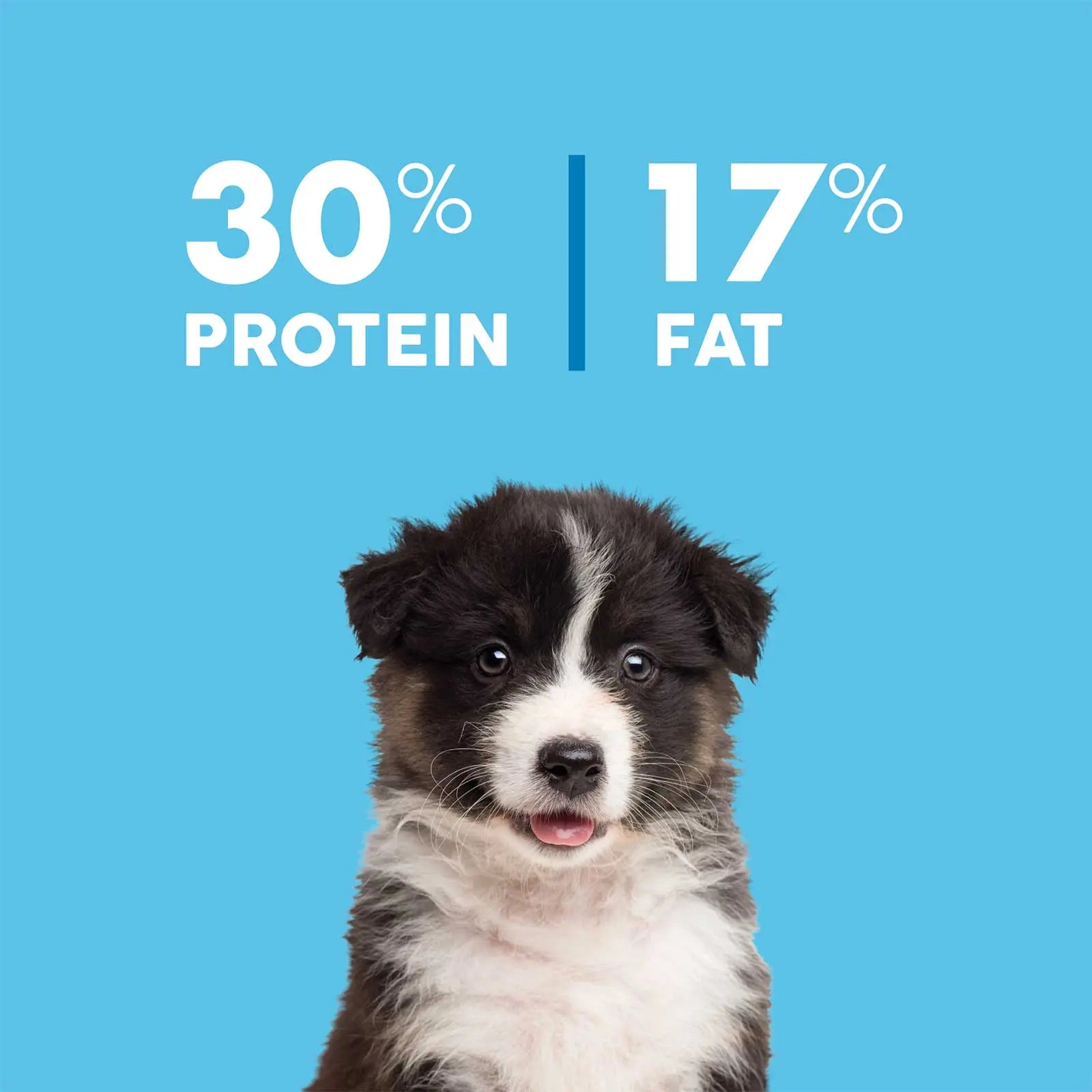 True Colours Dog Food Puppy Chicken & Rice - Kellyville Pets