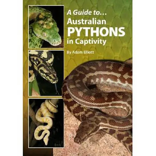 A Guide To Australian Pythons - Kellyville Pets