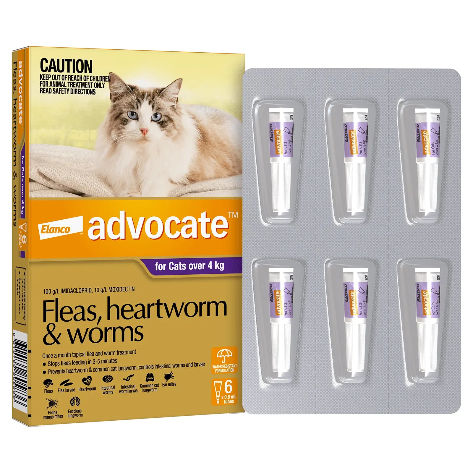 Advocate for Cats - Kellyville Pets