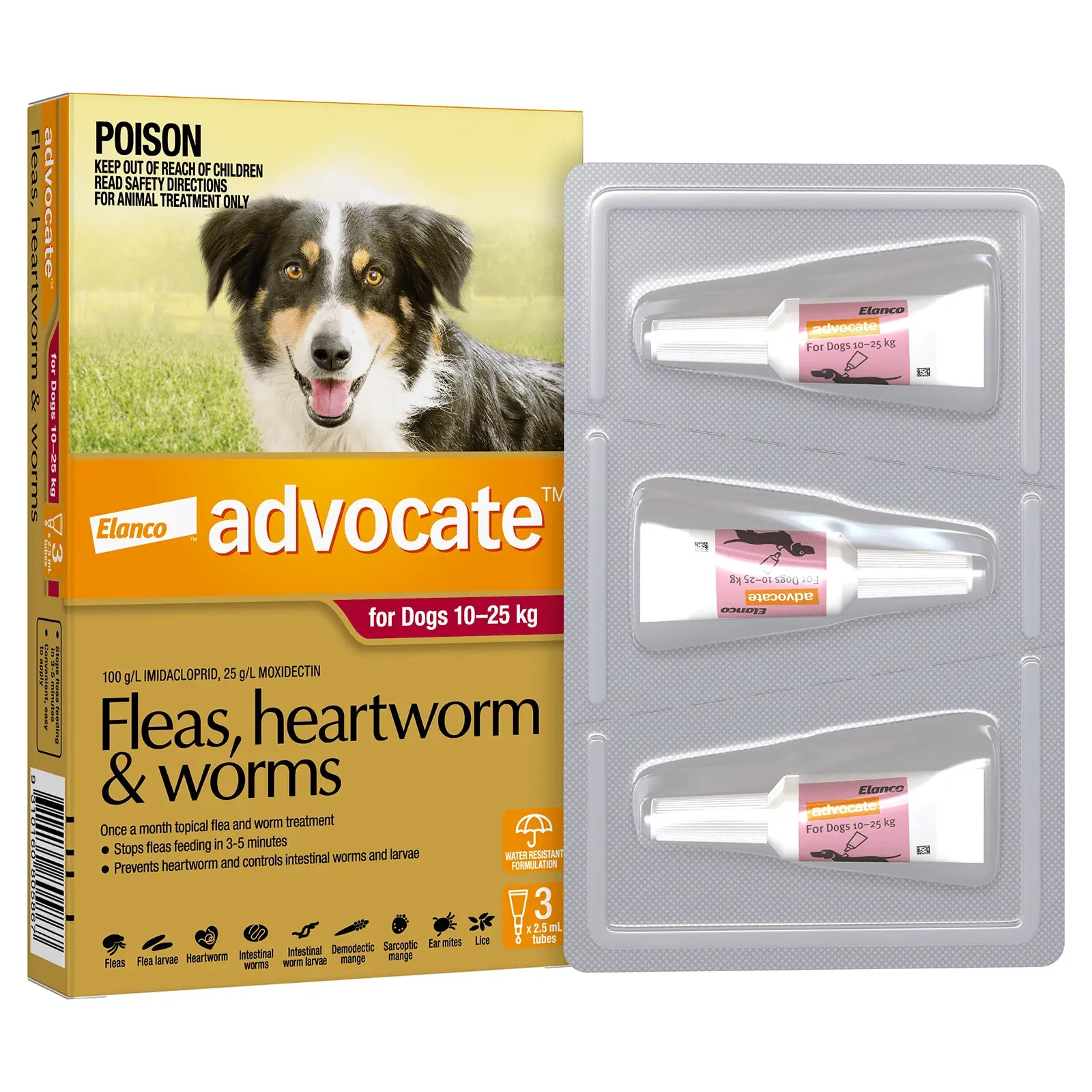 For Dogs Pets At Home Advocate Cats Advocate Small Cat And Kitten