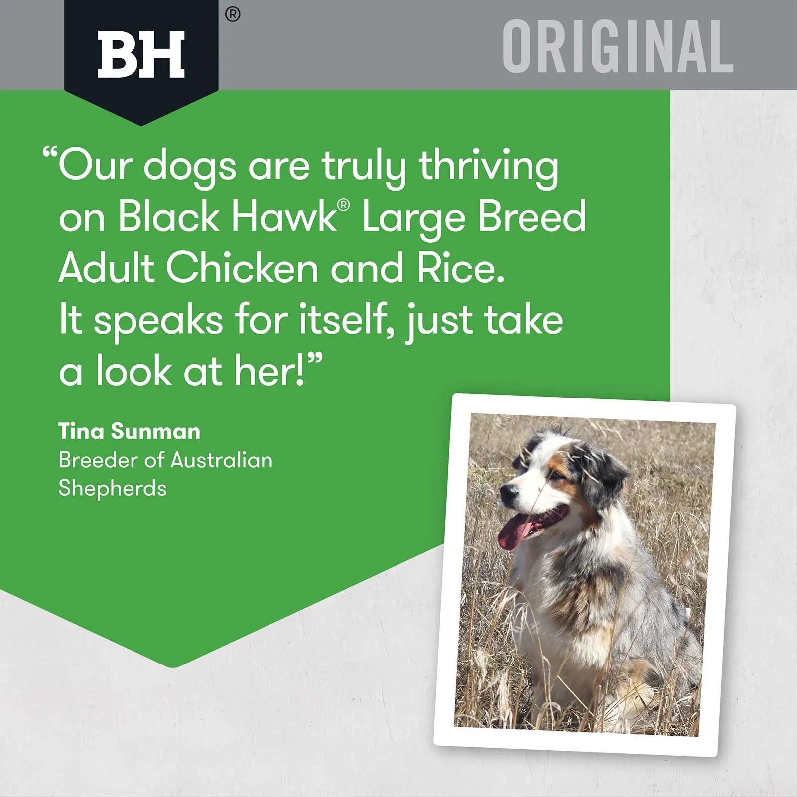 Black Hawk Dog Food Adult Large Breed Chicken & Rice - Kellyville Pets