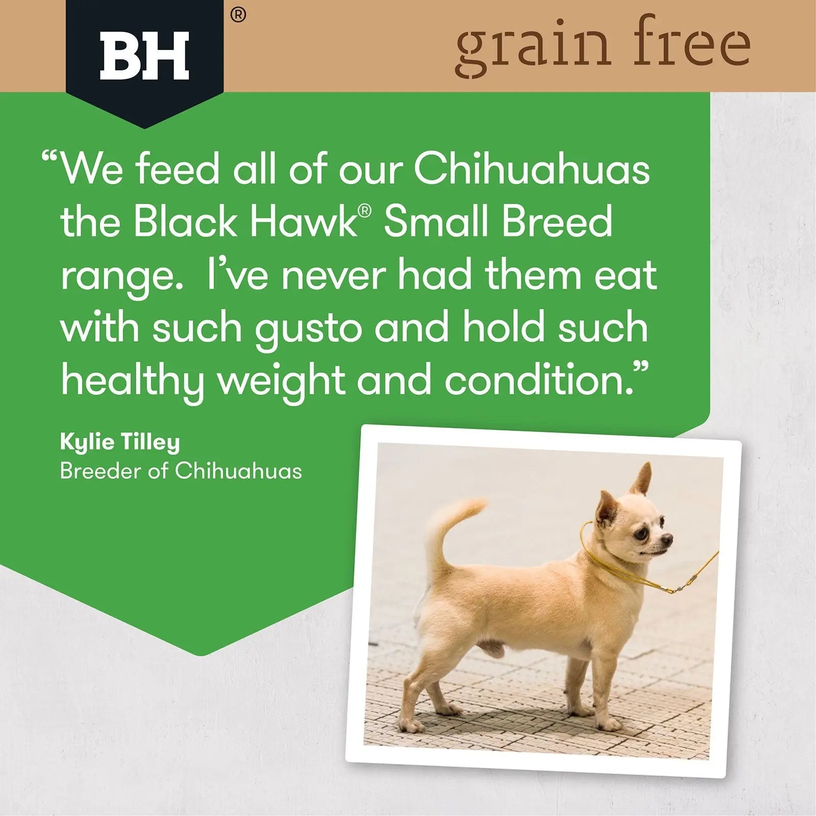 Black Hawk Grain Free Dog Food Adult Small Breed Chicken - Kellyville Pets