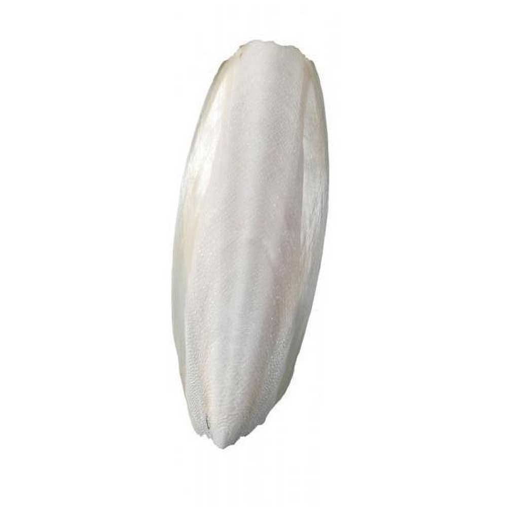 Cuttlebone Natural