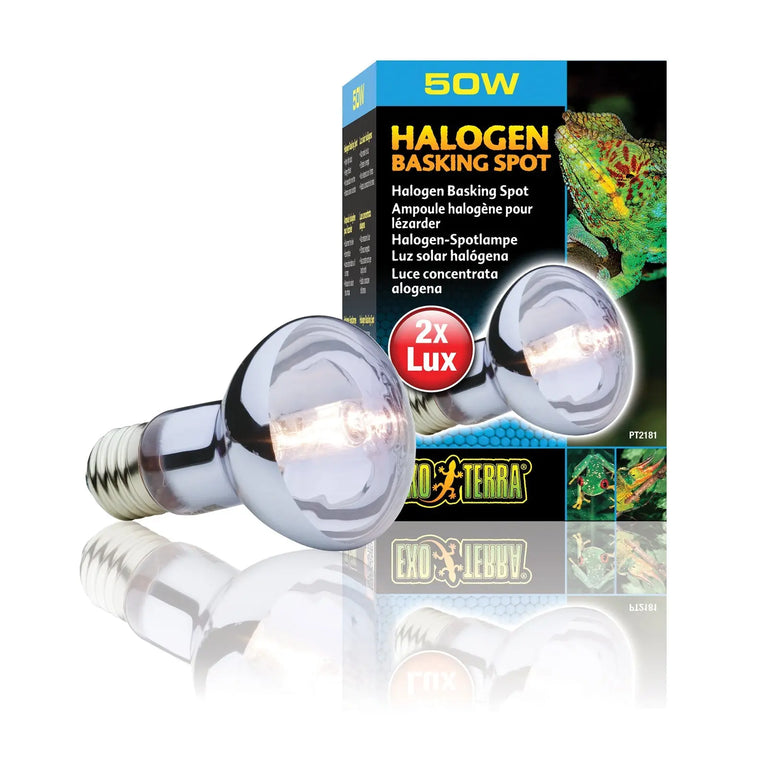 Exo Terra Halogen Basking Spot - Kellyville Pets