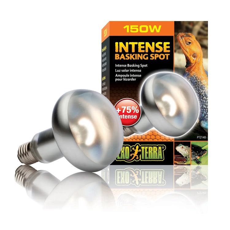Exo Terra Intense Basking Spot - Kellyville Pets