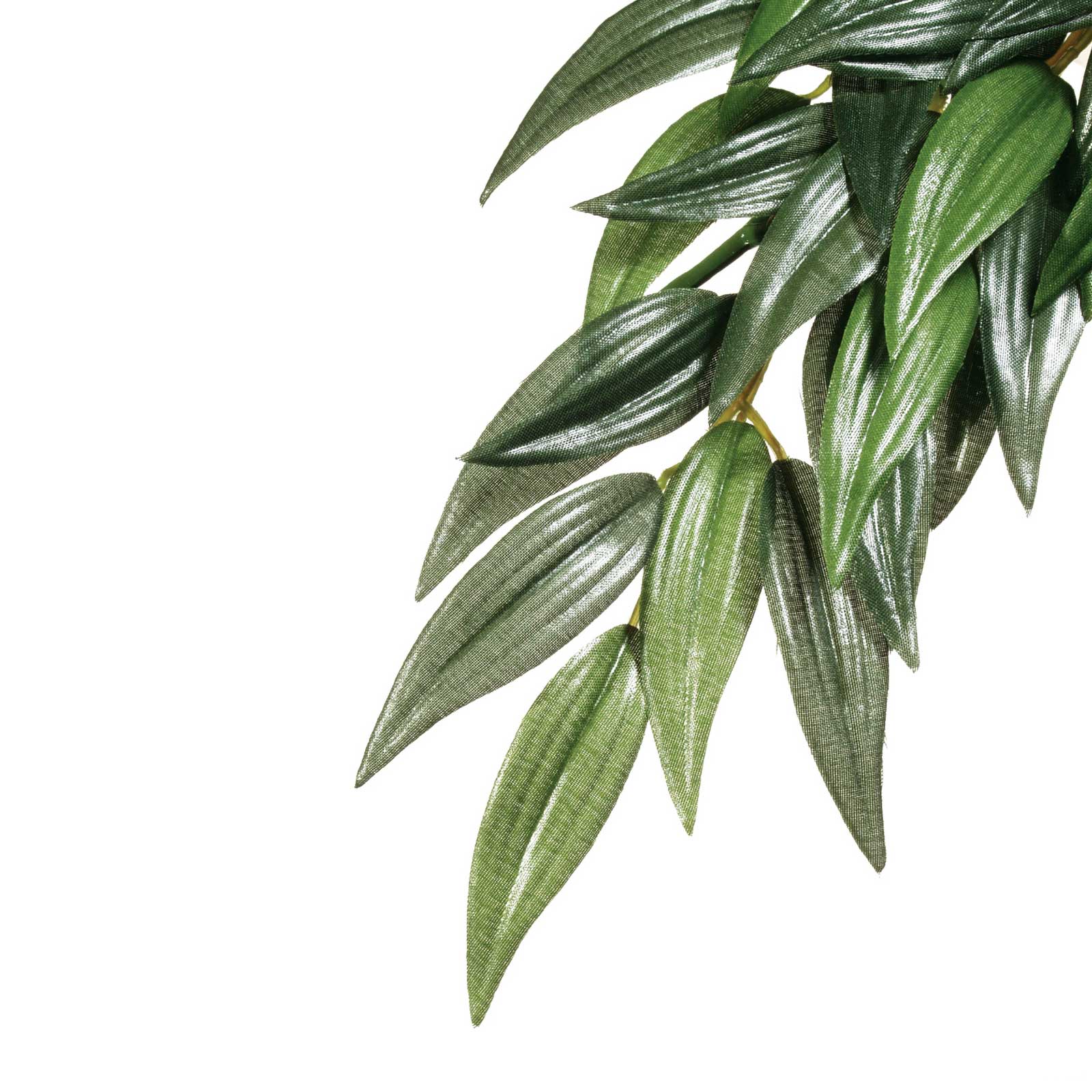 Exo Terra Plant Hanging Rucus - Kellyville Pets