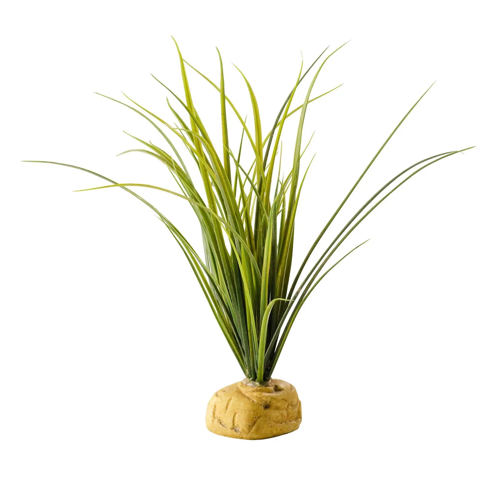 Exo Terra Plant Turtle Grass - Kellyville Pets