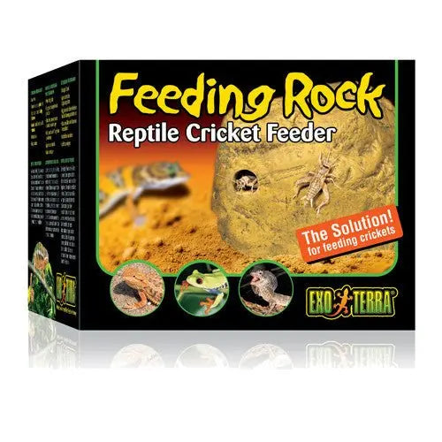 Exo Terra Reptile Cricket Feeding Rock - Kellyville Pets