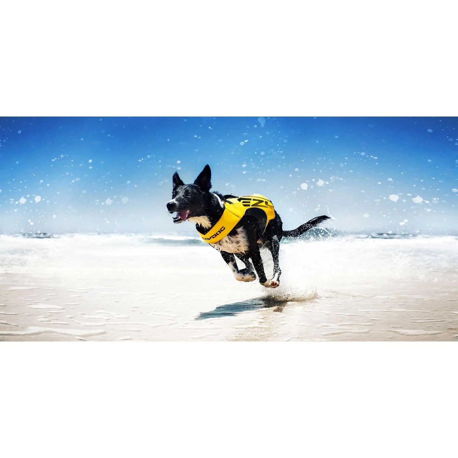 Ezydog Boost X2 Dog Floatation Device - Kellyville Pets