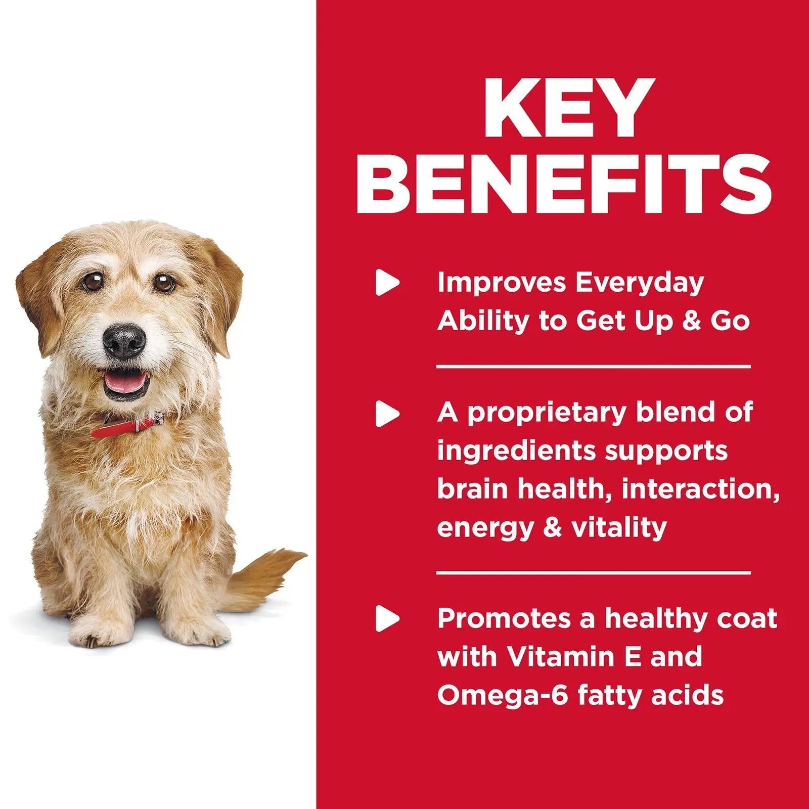 Hill's Science Diet Dog Food Adult 7+ Senior Vitality Small & Mini Senior - Kellyville Pets