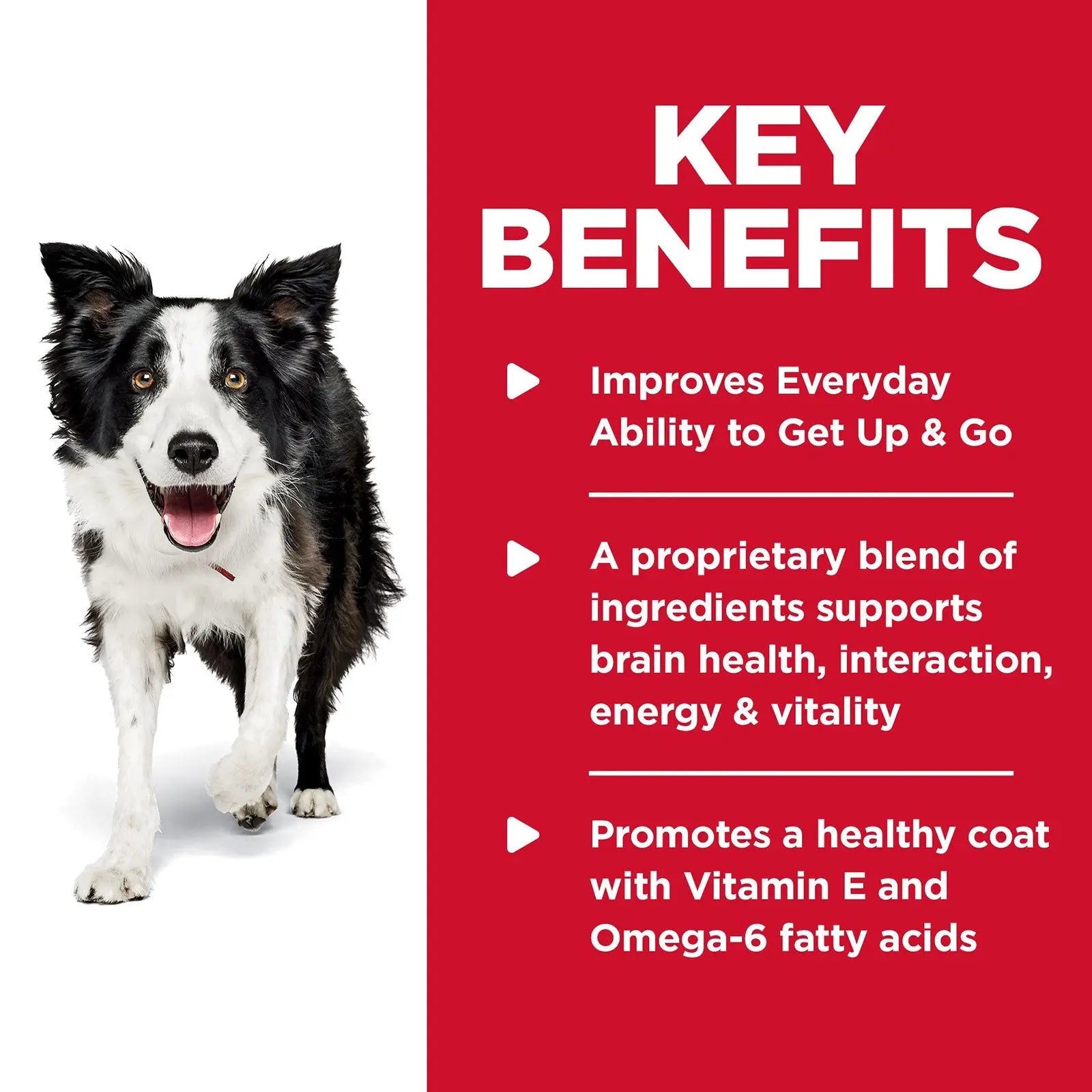 Hill's Science Diet Dog Food Adult 7+ Senior Vitality - Kellyville Pets