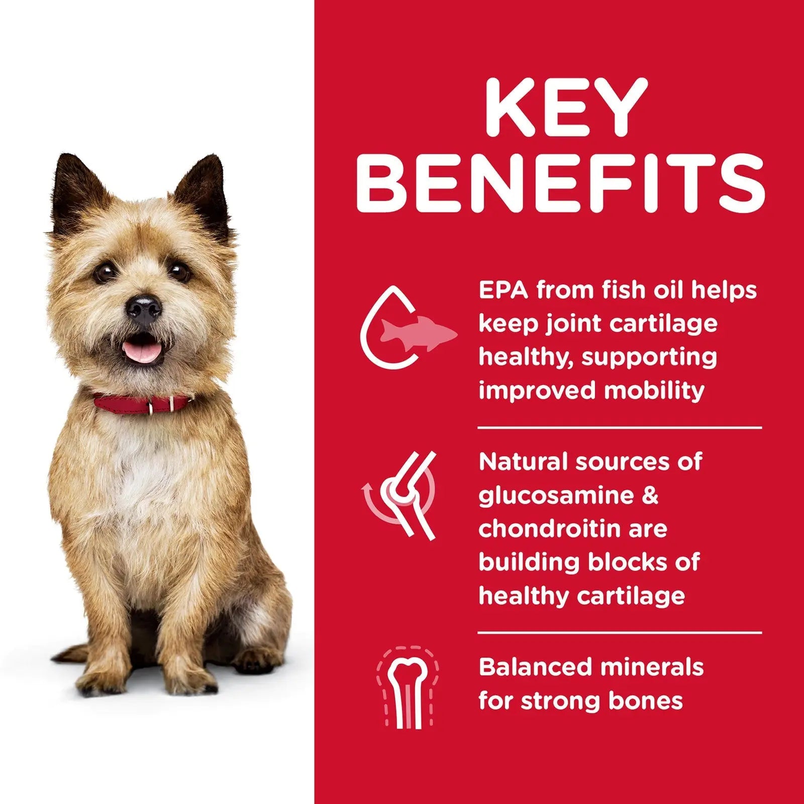 Hill's Science Diet Dog Food Adult Healthy Mobility Small Bites - Kellyville Pets