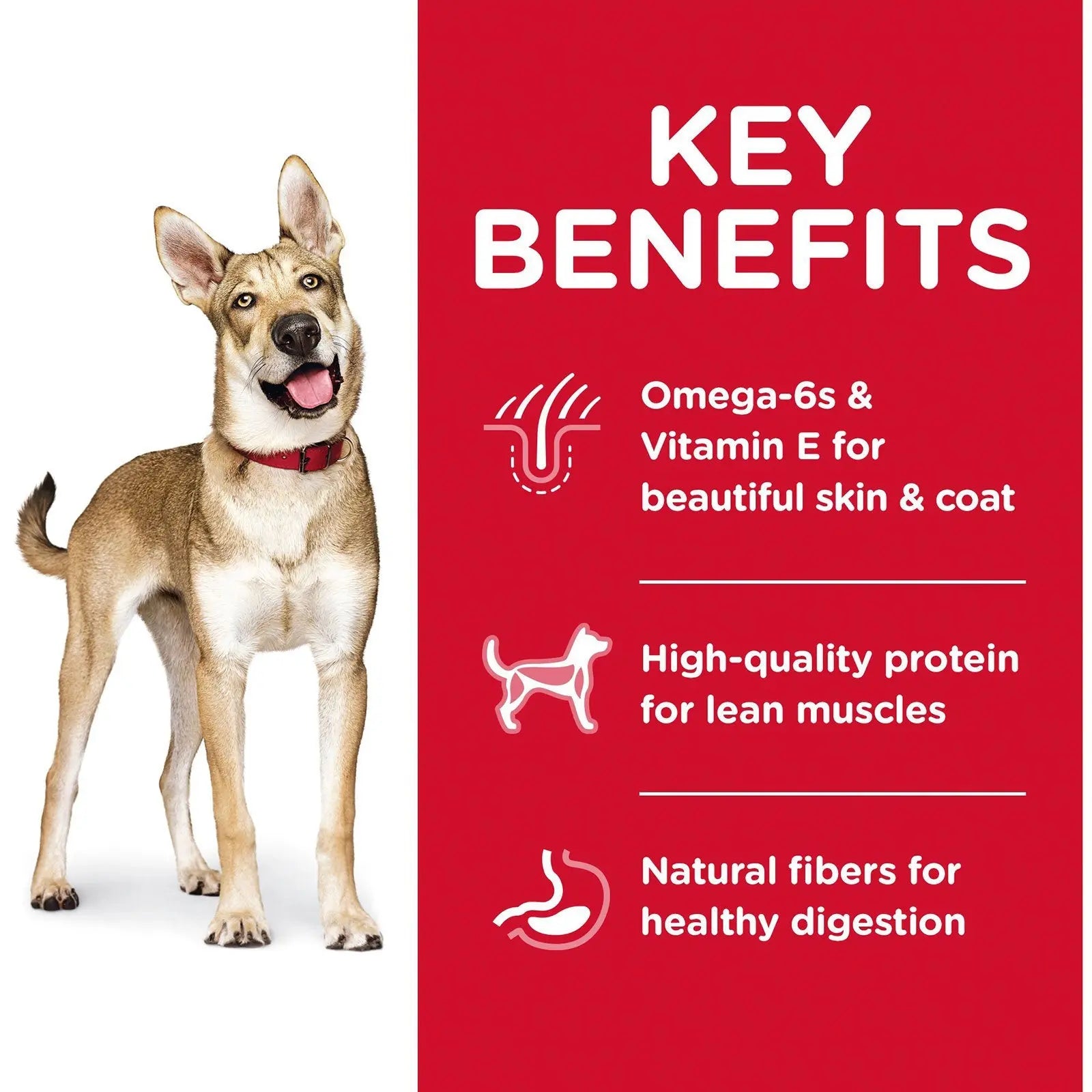 Hill's Science Diet Dog Food Adult Lamb Meal & Brown Rice - Kellyville Pets